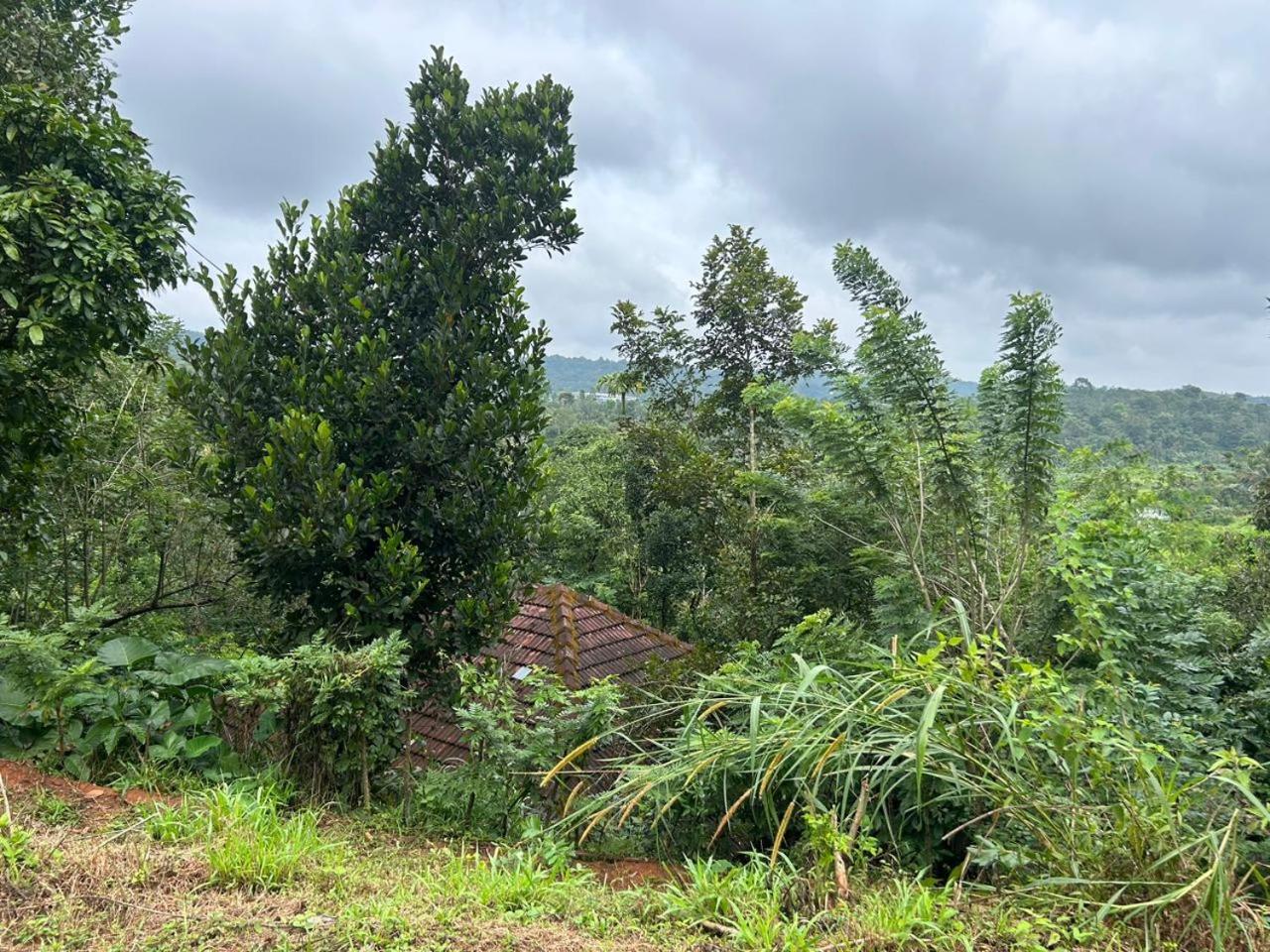MISTY MOUNT VILLA MANANTHAVADY