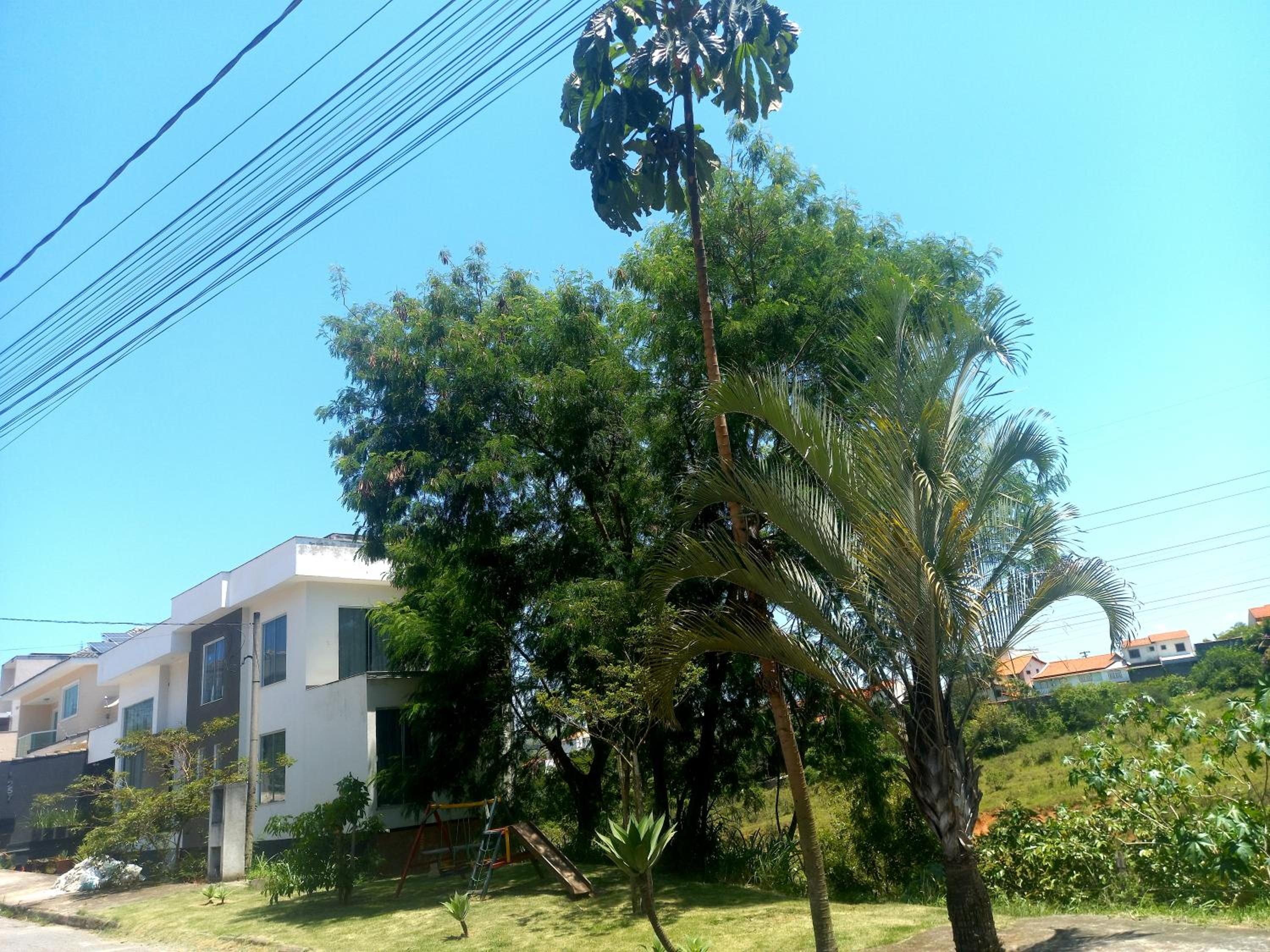 Pousada Flor de Lis Homestay