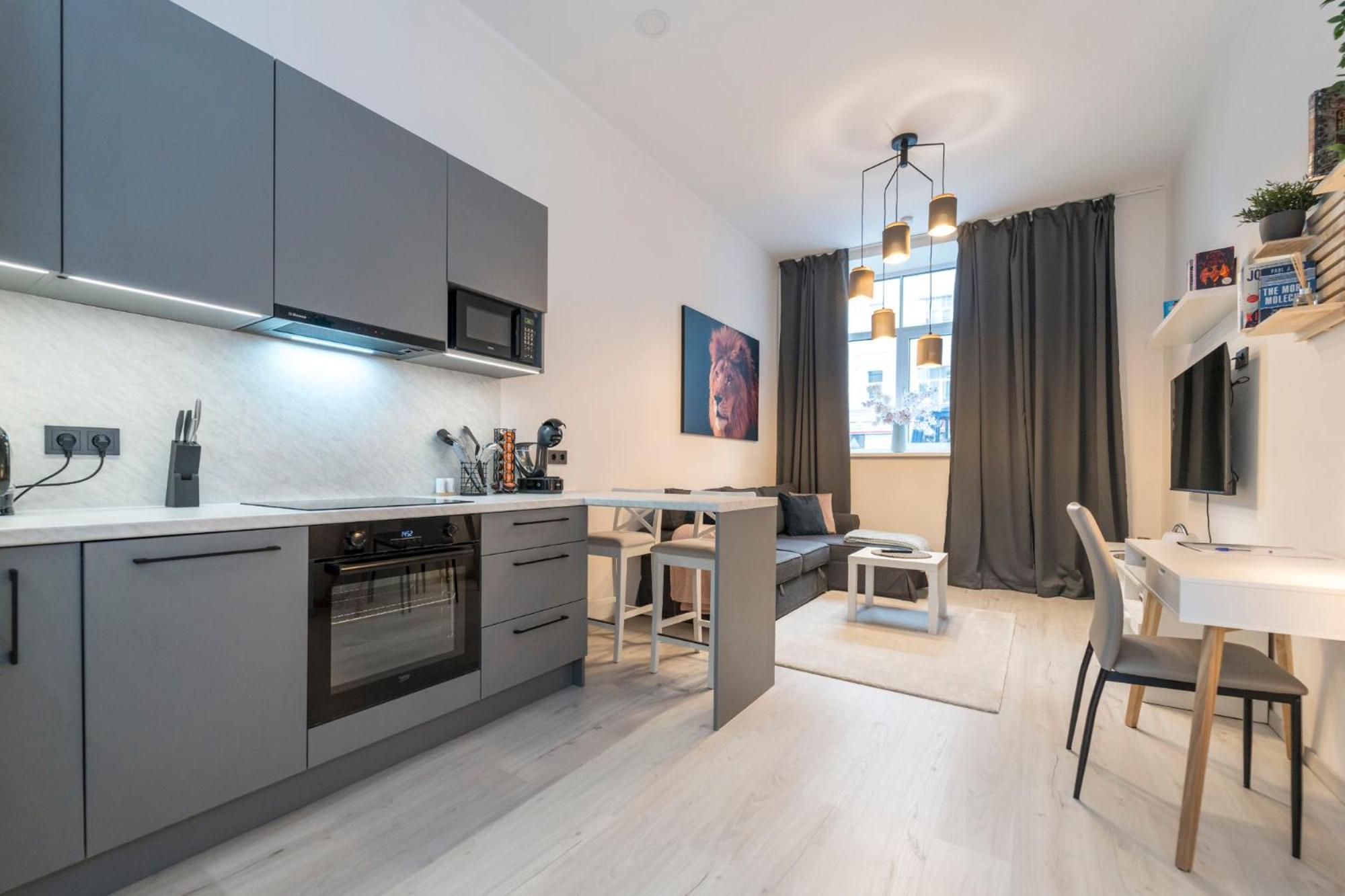 Cozy and Bright apartment view 2