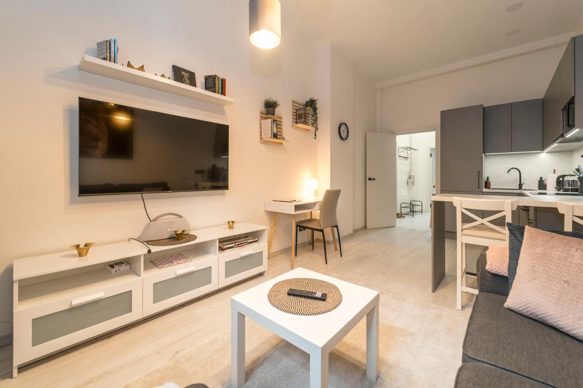 Cozy and Bright apartment view 3
