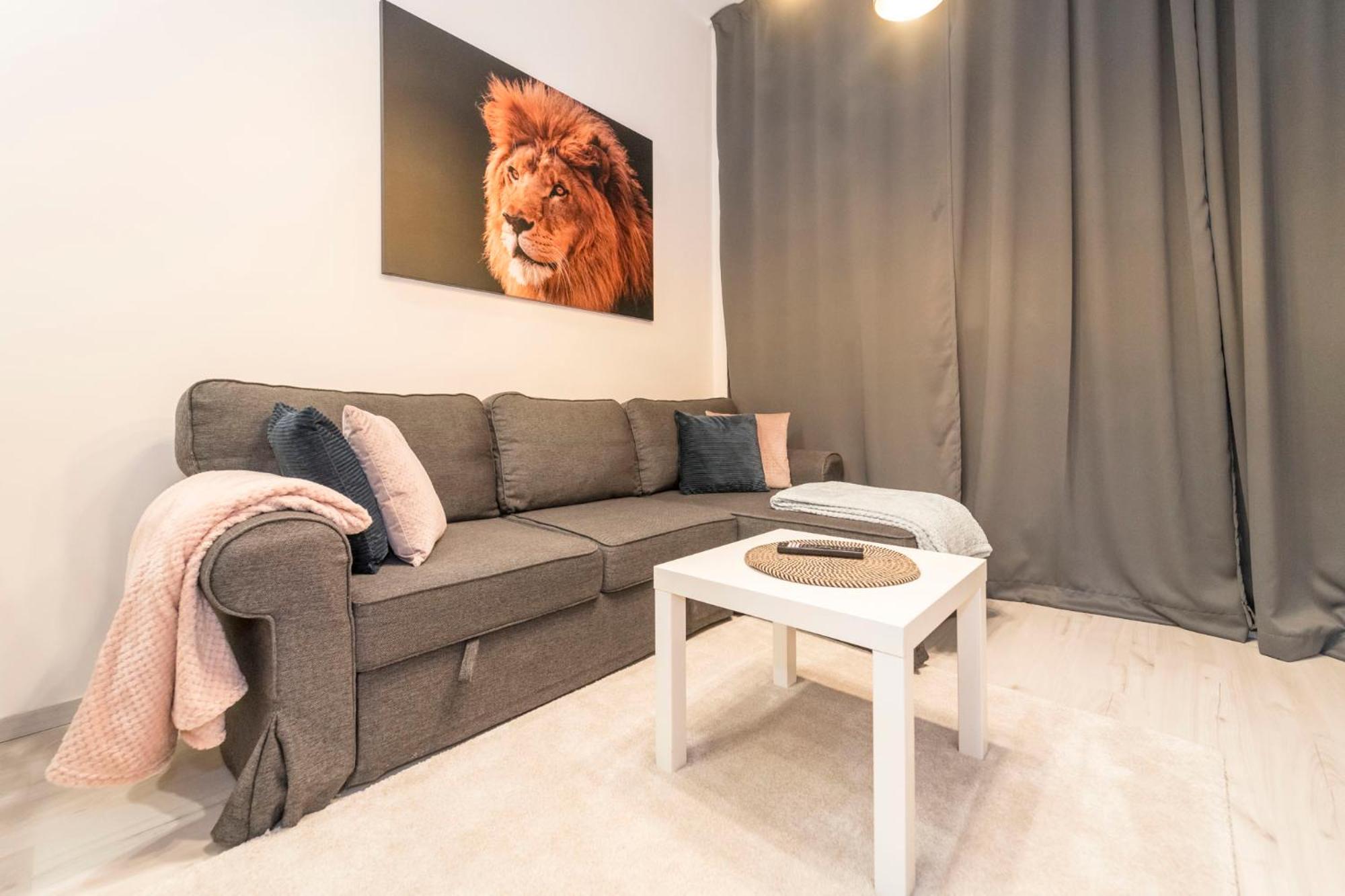 Cozy and Bright apartment view 5
