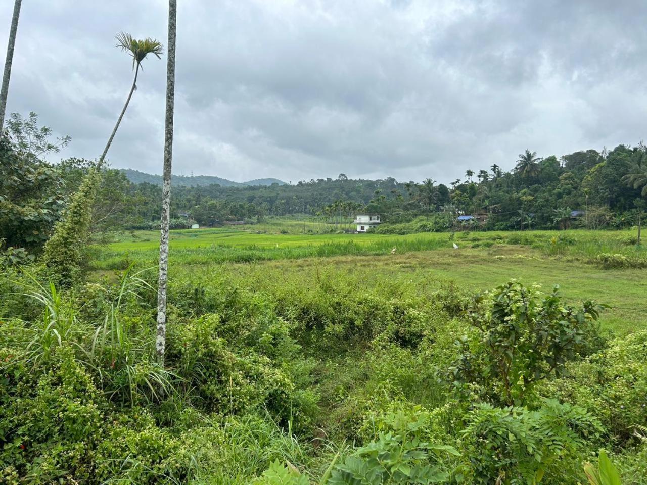 MISTY MOUNT VILLA MANANTHAVADY