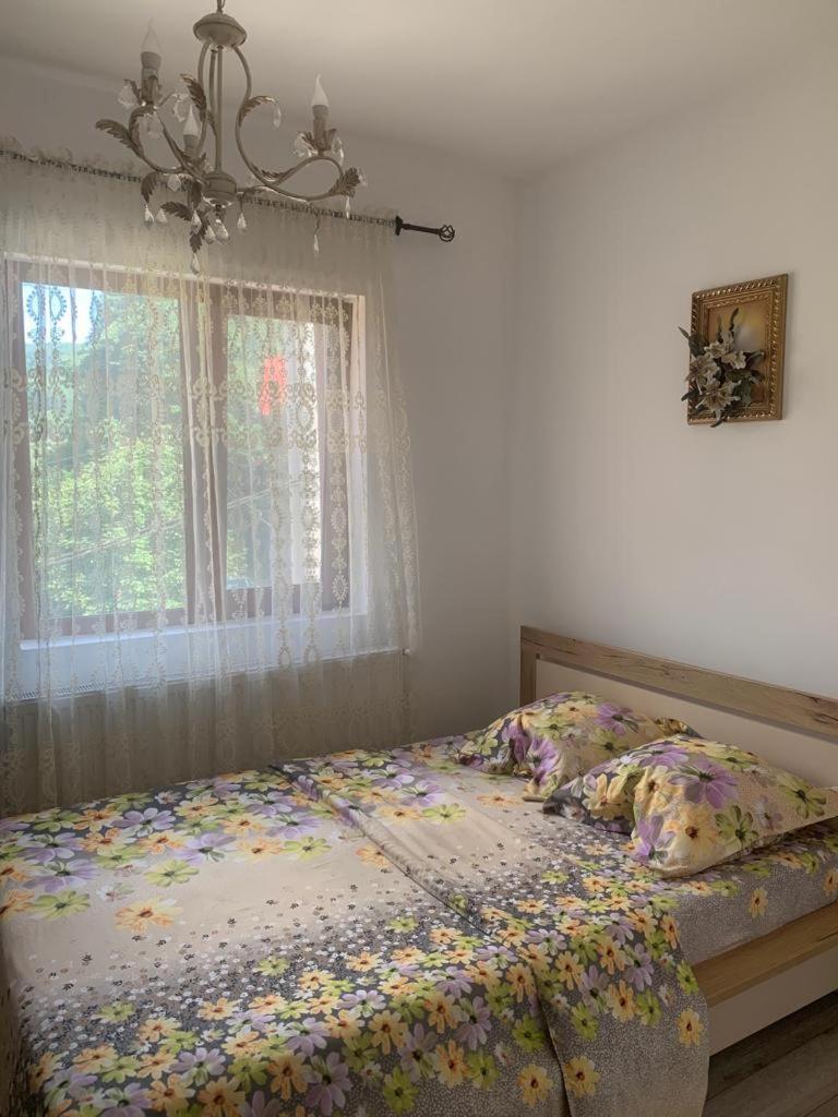B House Bușteni view 3