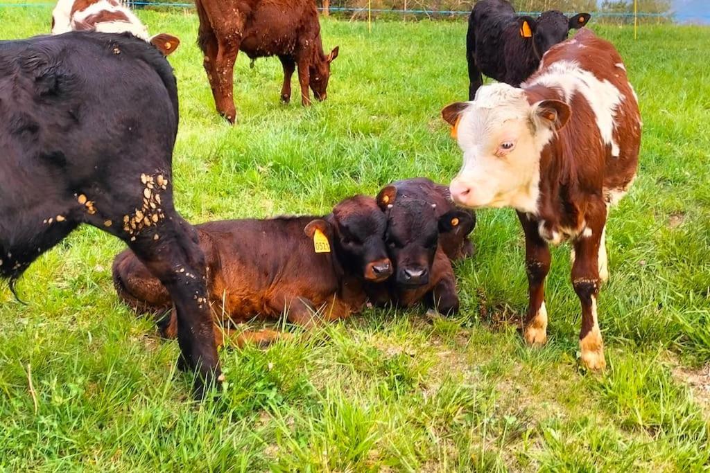 Appartamento di montagna LO GROP