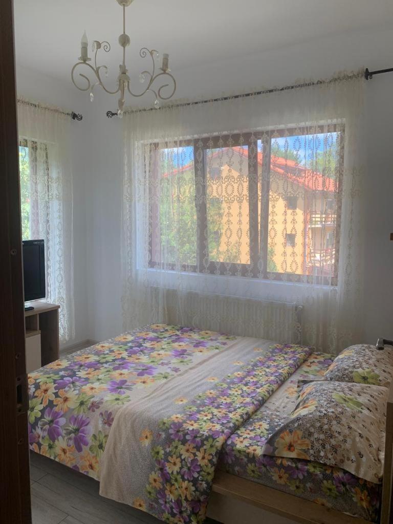 B House Bușteni view 2