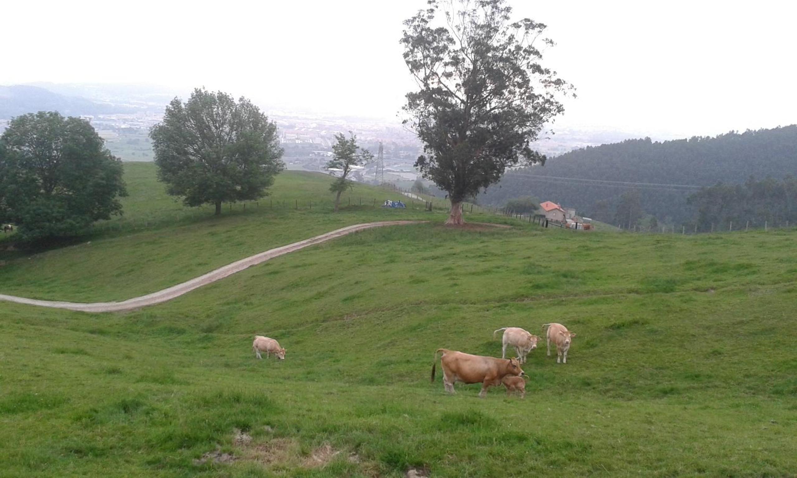 Casa Velarde - Property Image 55