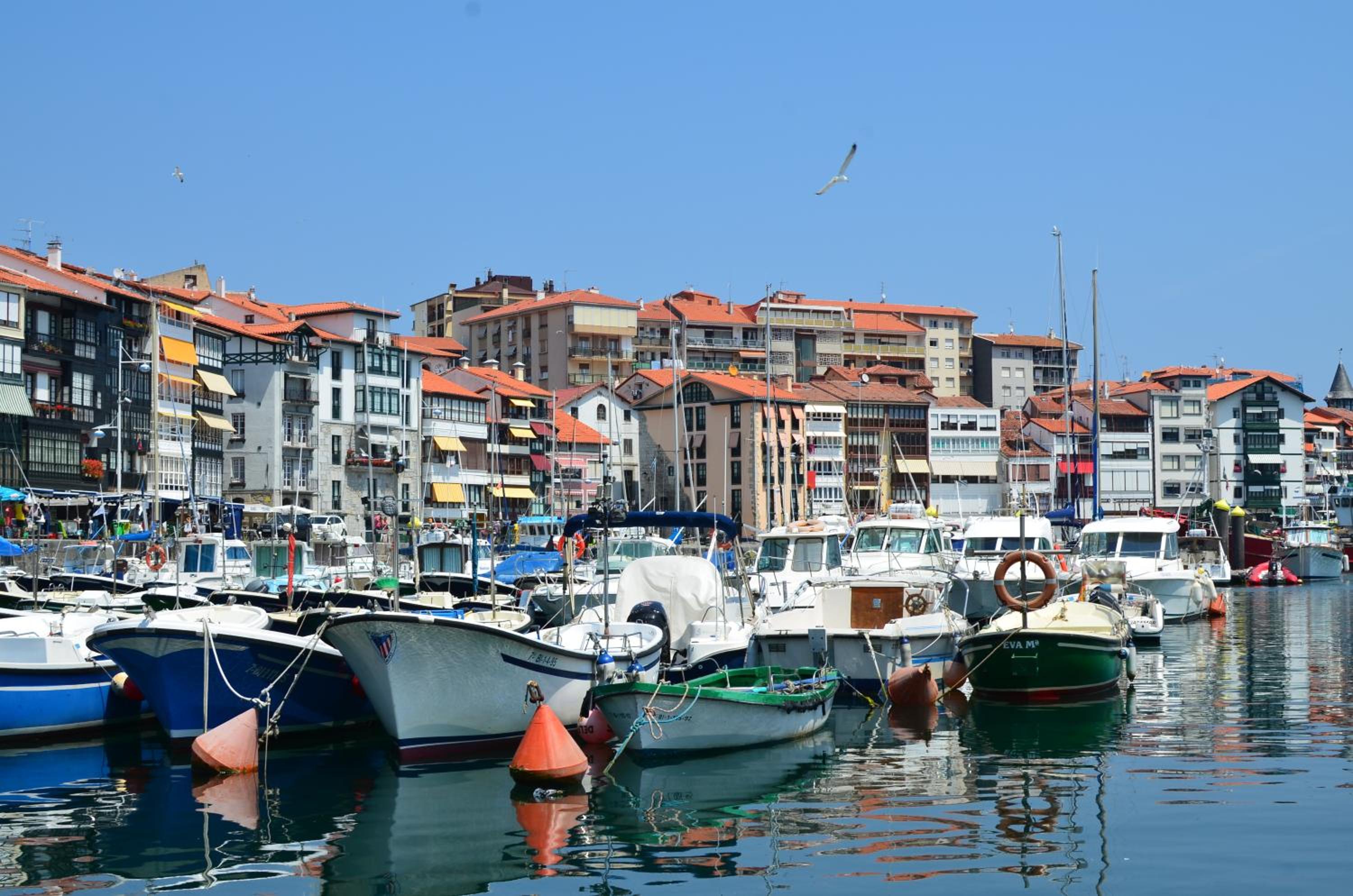 Lekeitio Aterpetxea Hostel
