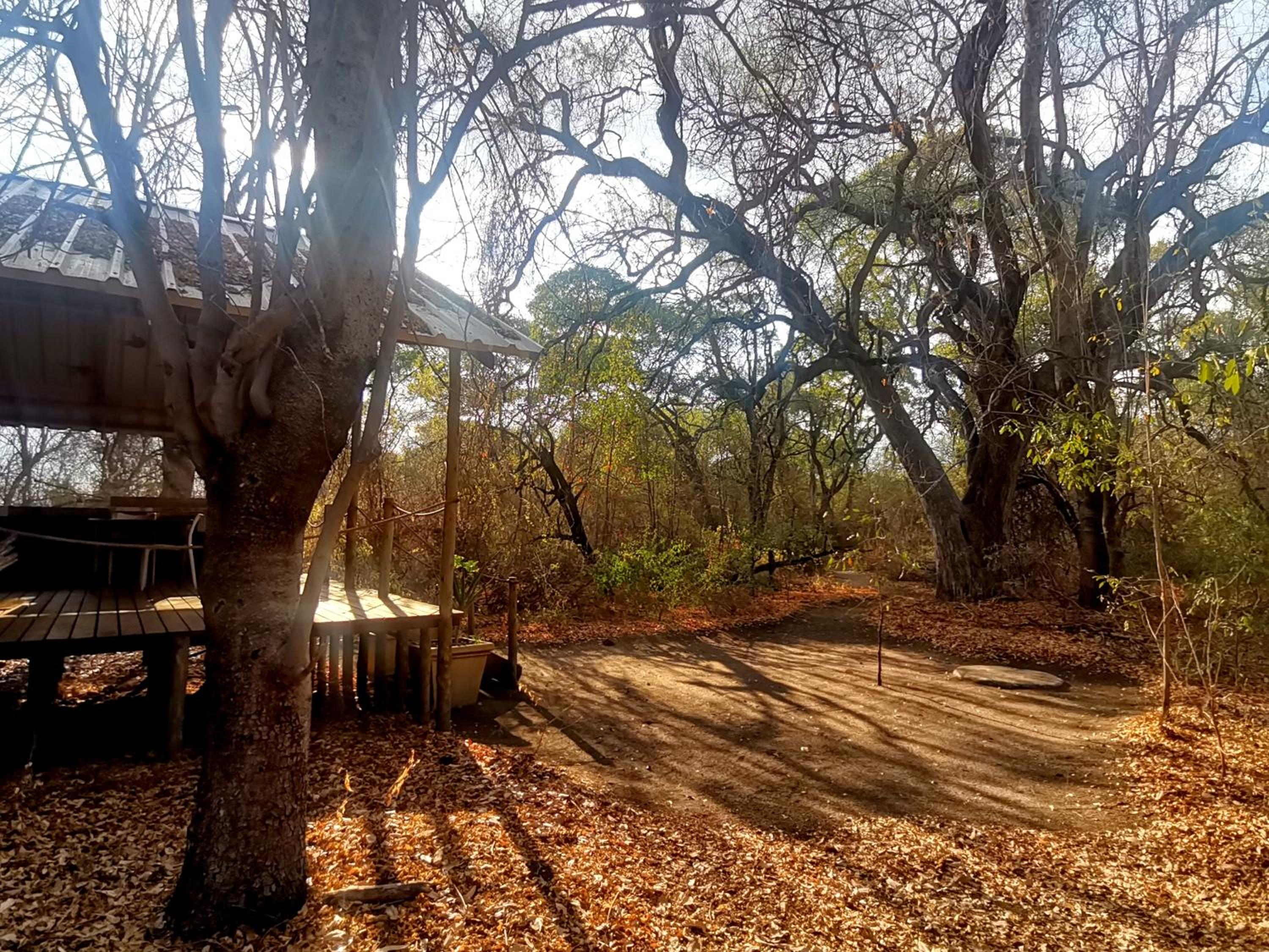 The Tshilli Farm & Lodge