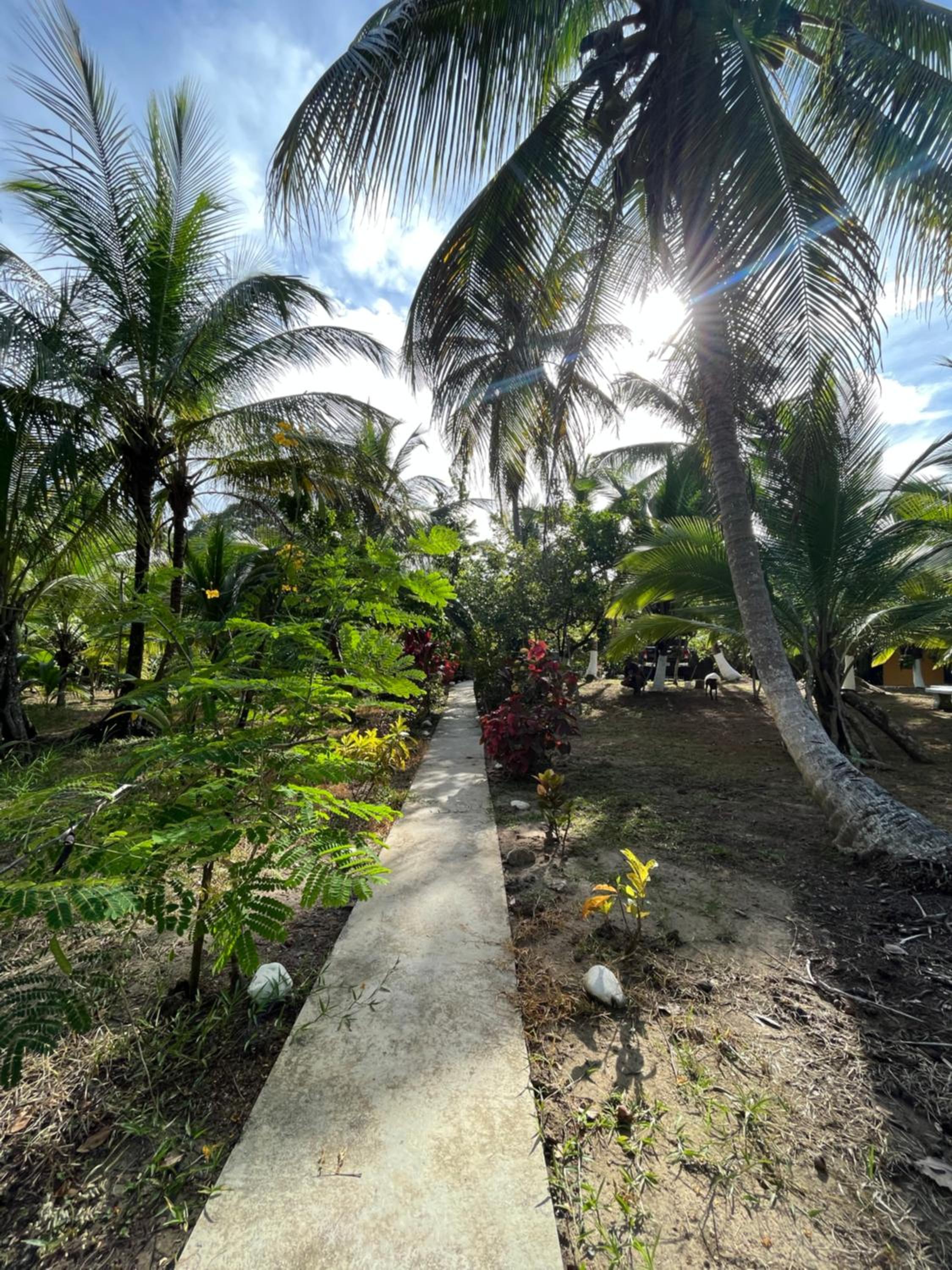 Secret Paradise