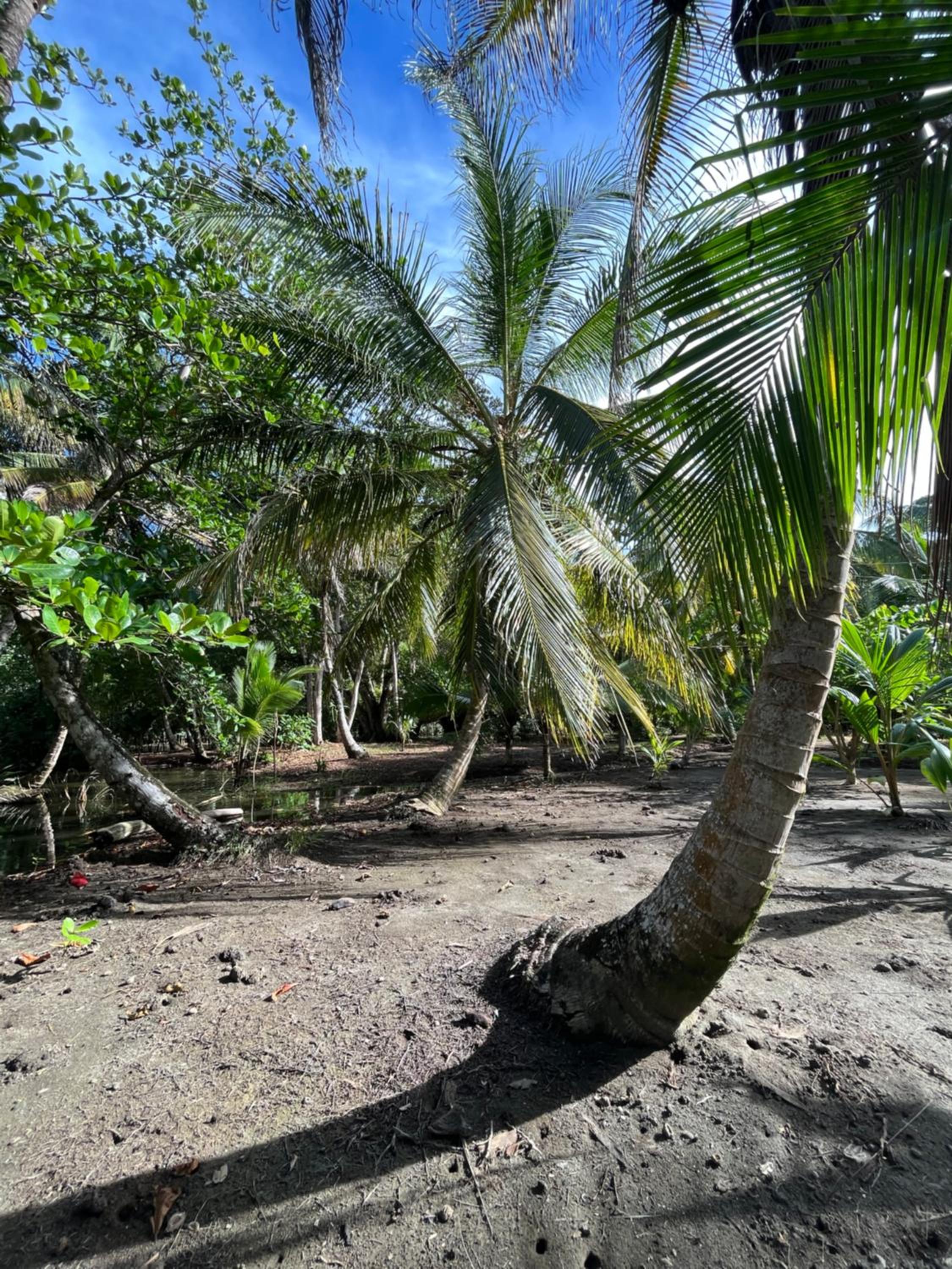 Secret Paradise