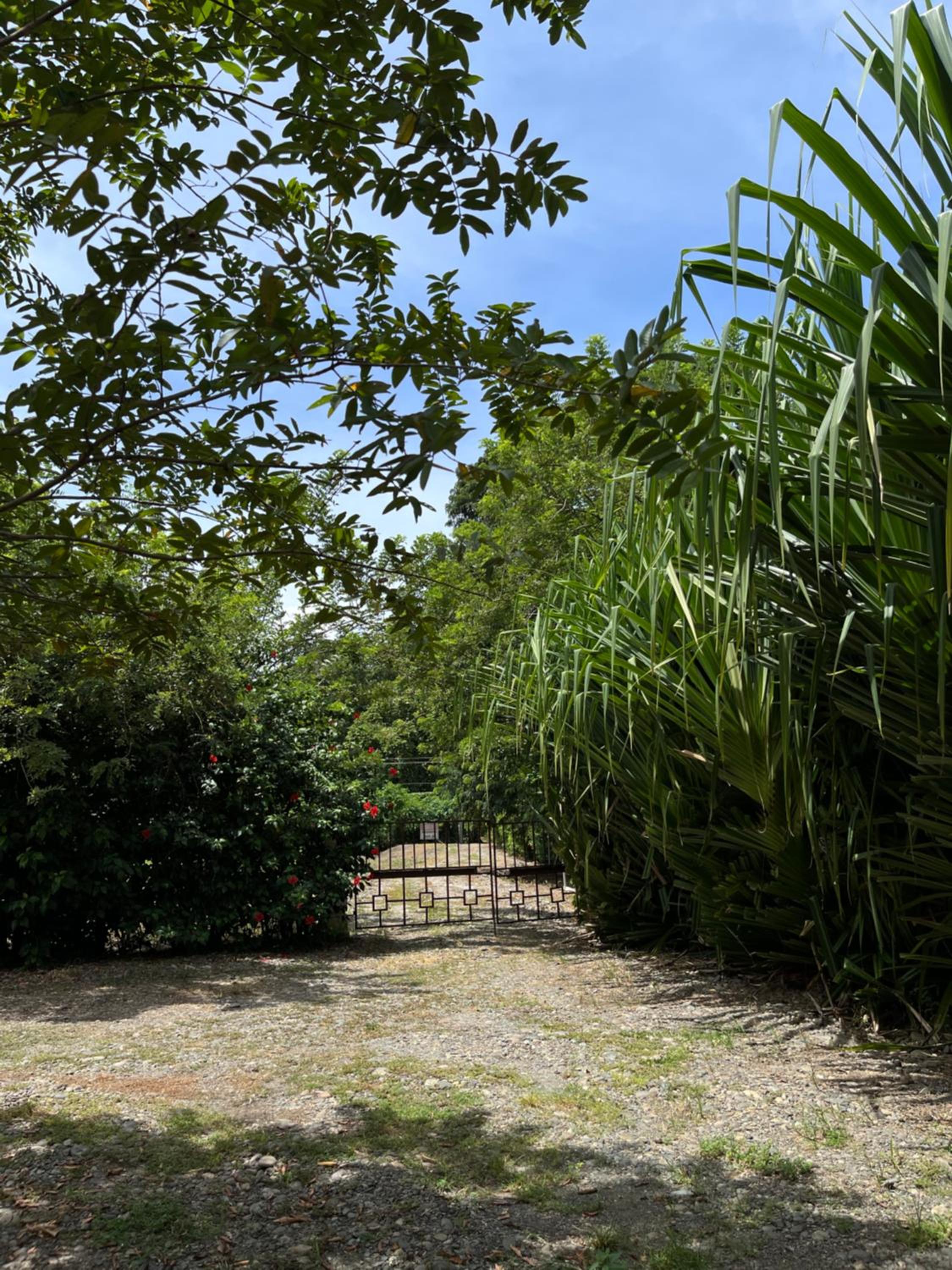 Secret Paradise