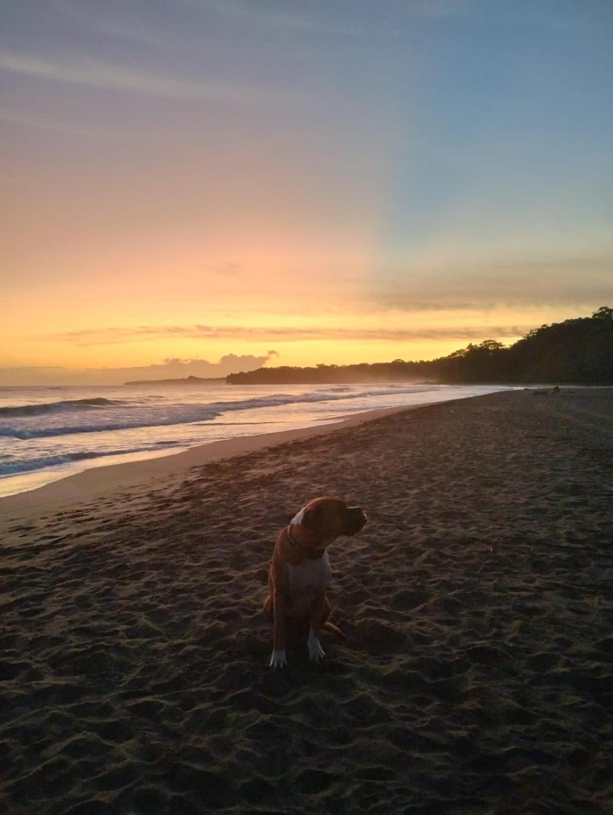 Secret Paradise