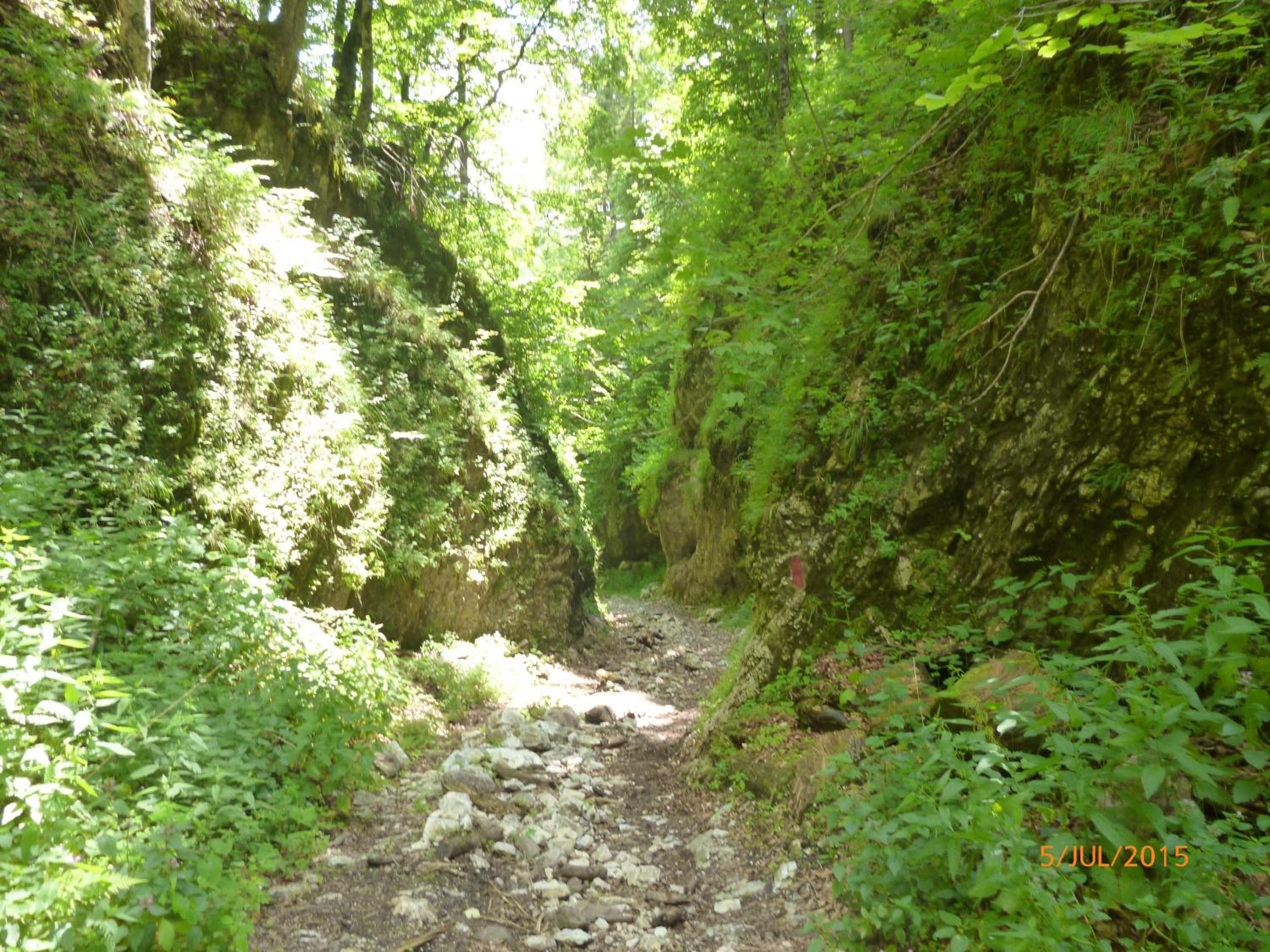 Photo 39