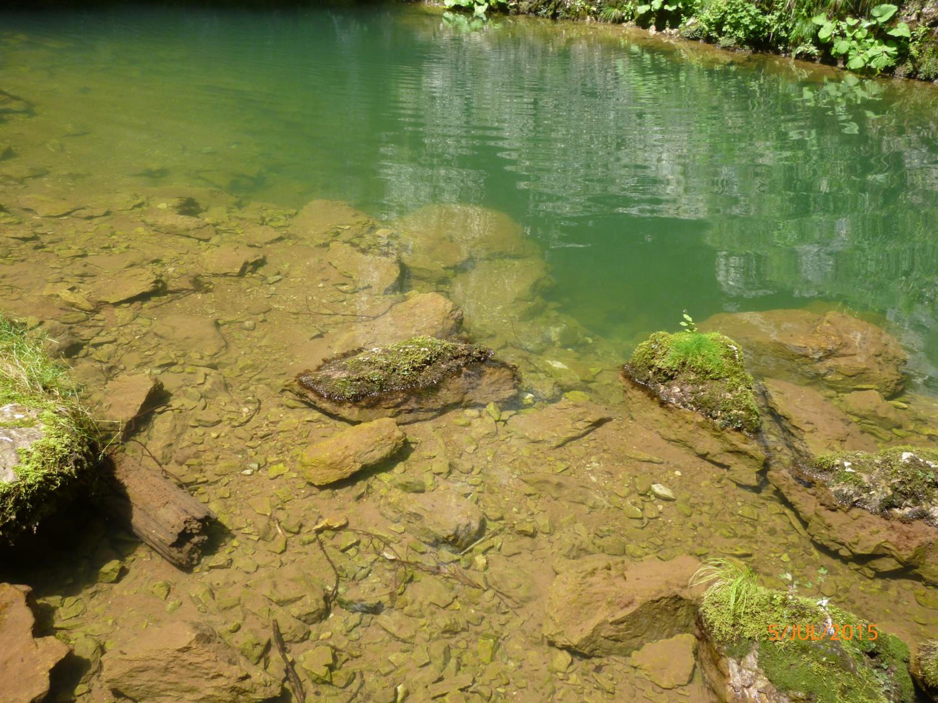 Photo 43