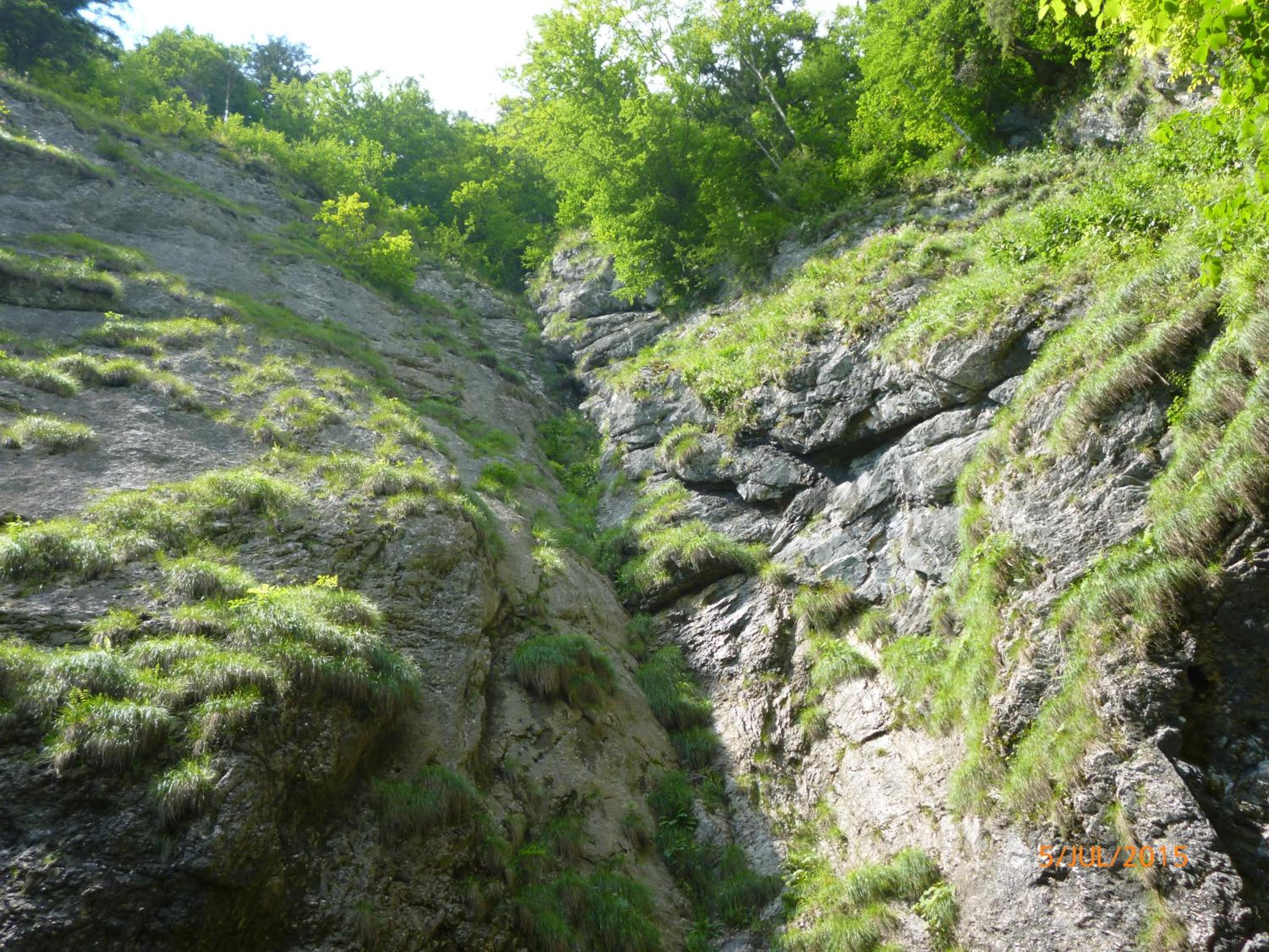 Photo 44