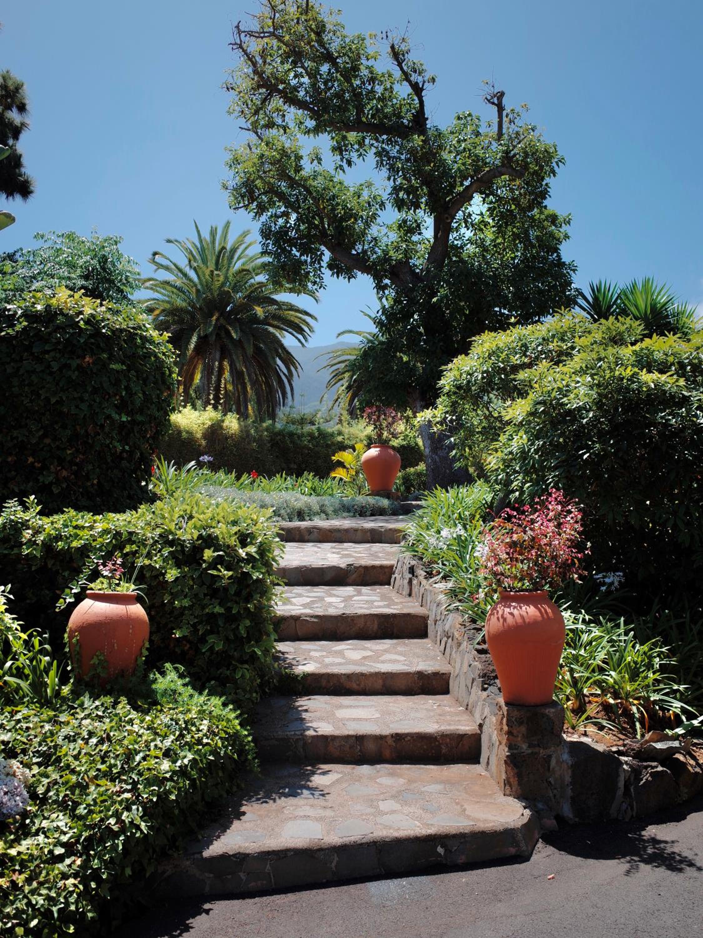 Villa Finca El Drago