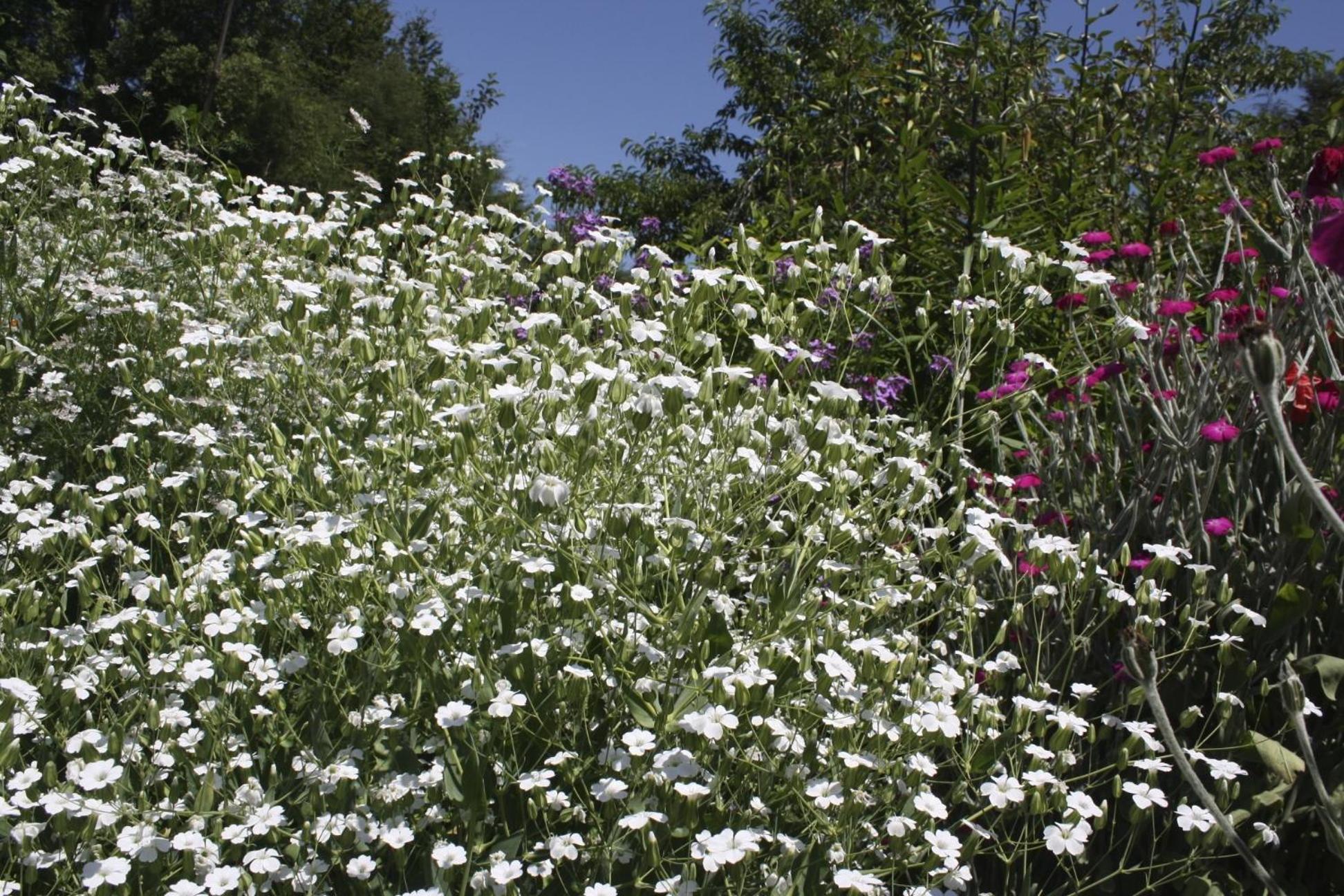 Cabaña Aroma de Campo