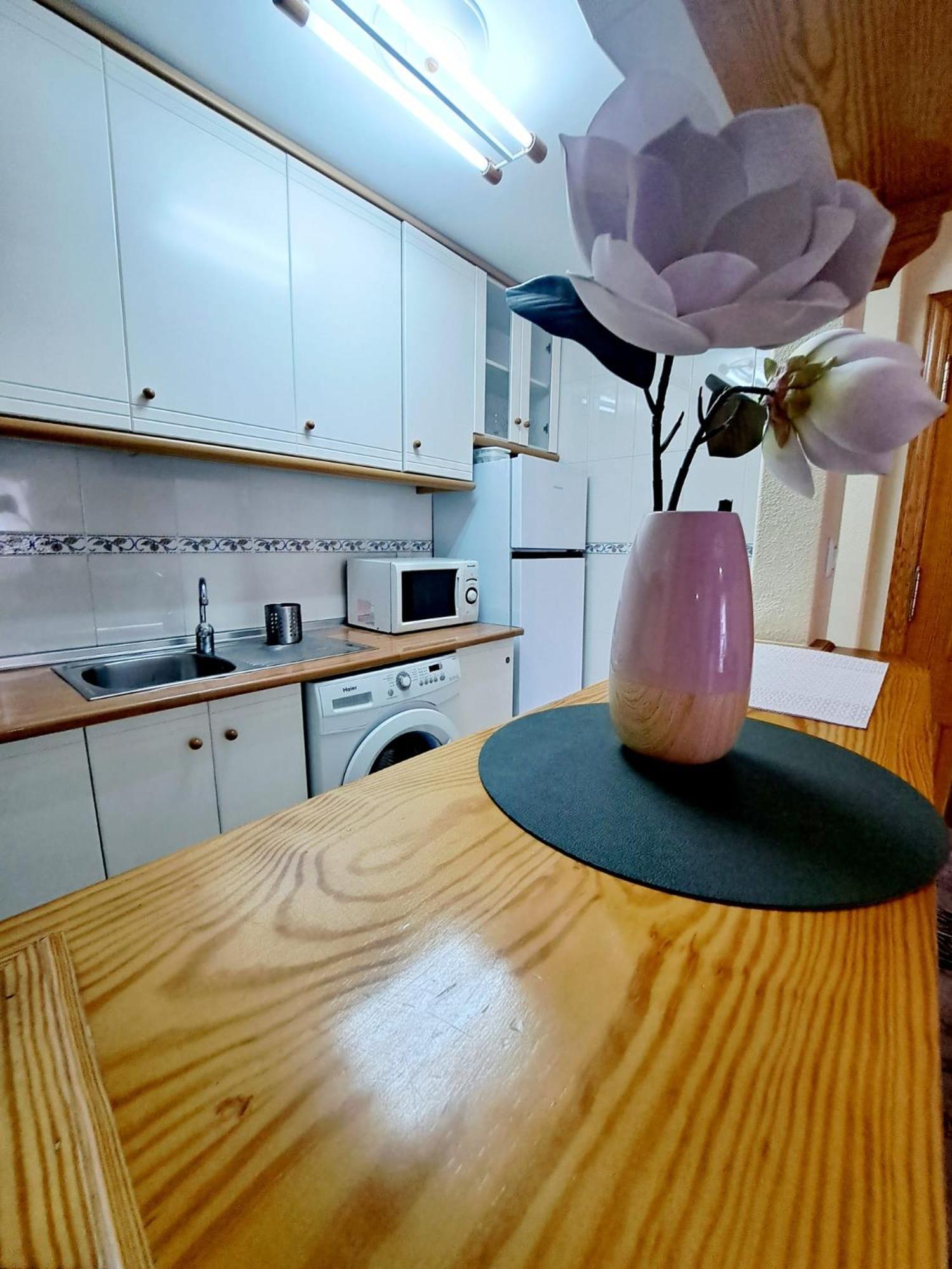 Apartamento Via Mar en La Mata — kitchen