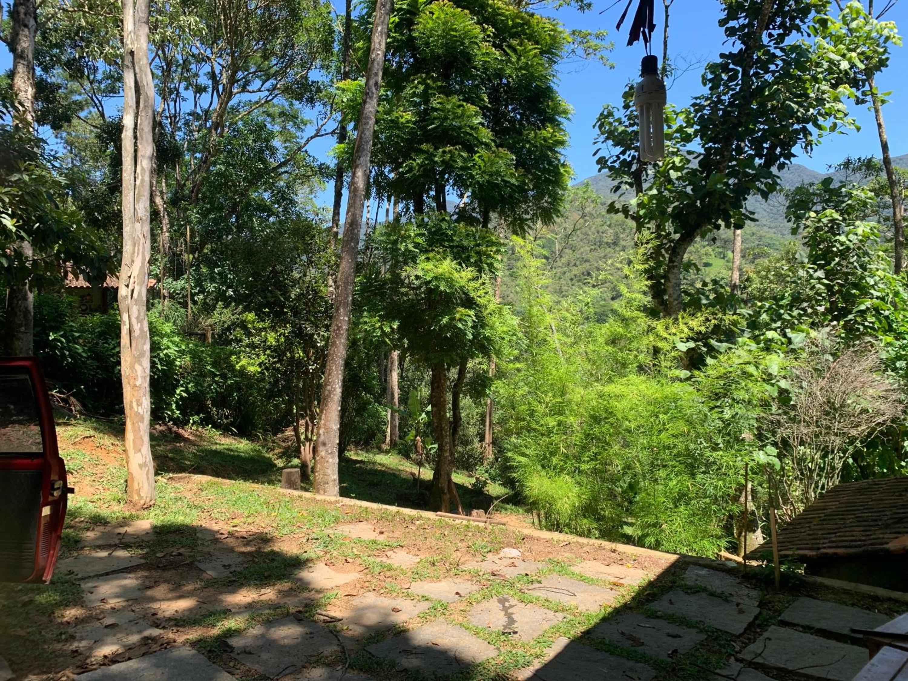 Casa Araucária 2