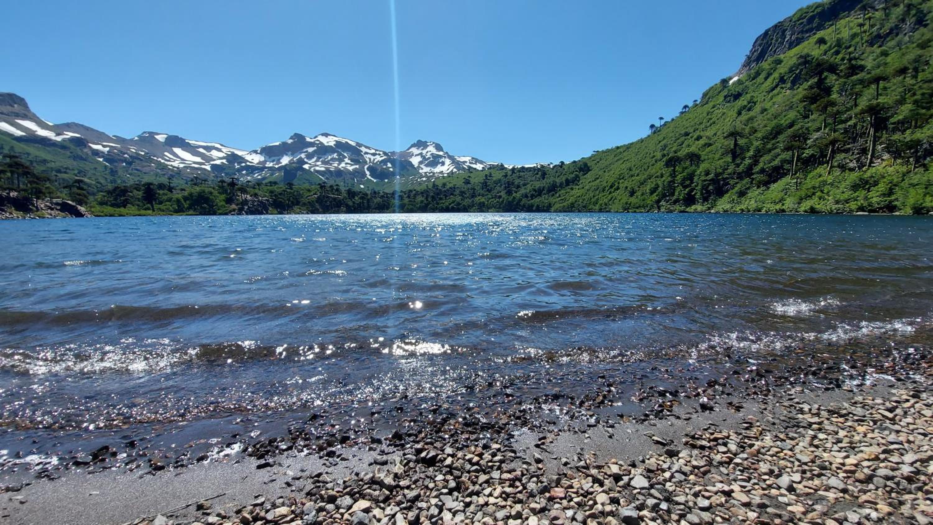 Cabañas rio Biobio