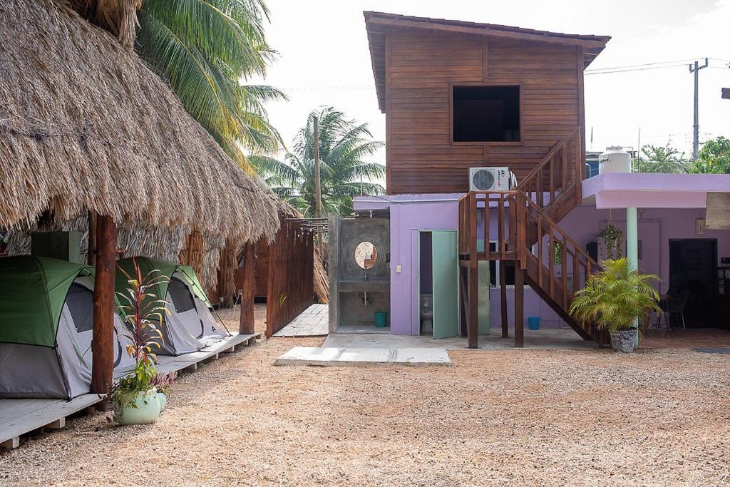 Mapache Hostel view 4