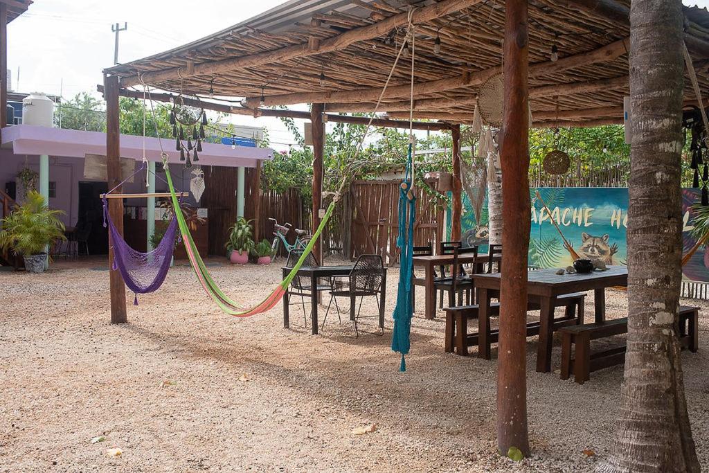 Mapache Hostel view 2