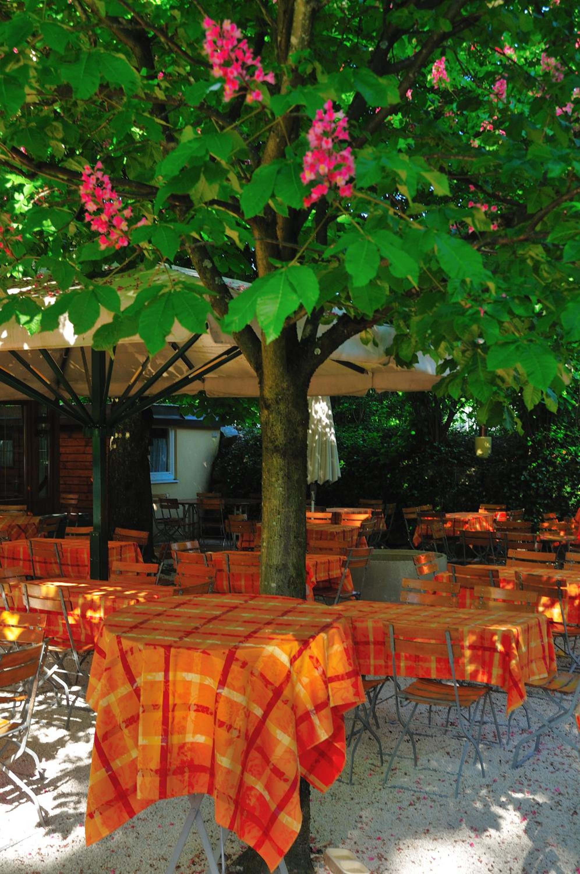 Salzburg Vacations - Austria Classic Hotel Holle - Property Image 41