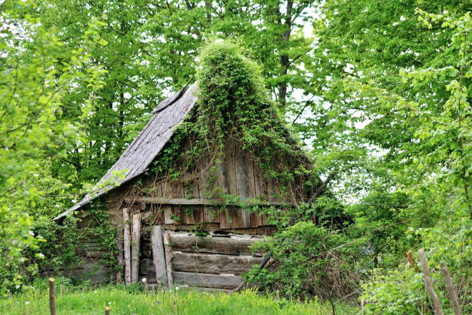 Domacinstvo na kraju svijeta