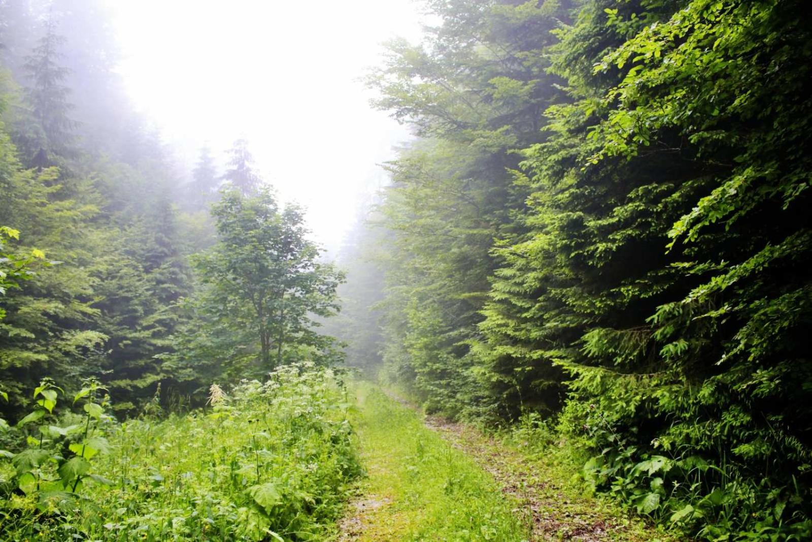 Domacinstvo na kraju svijeta