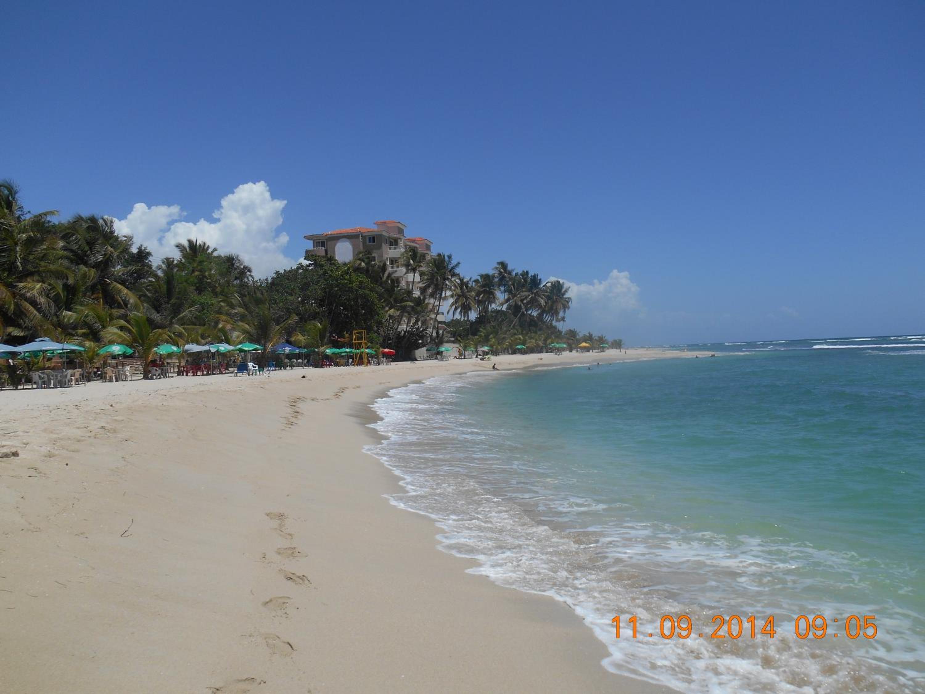Photo 10