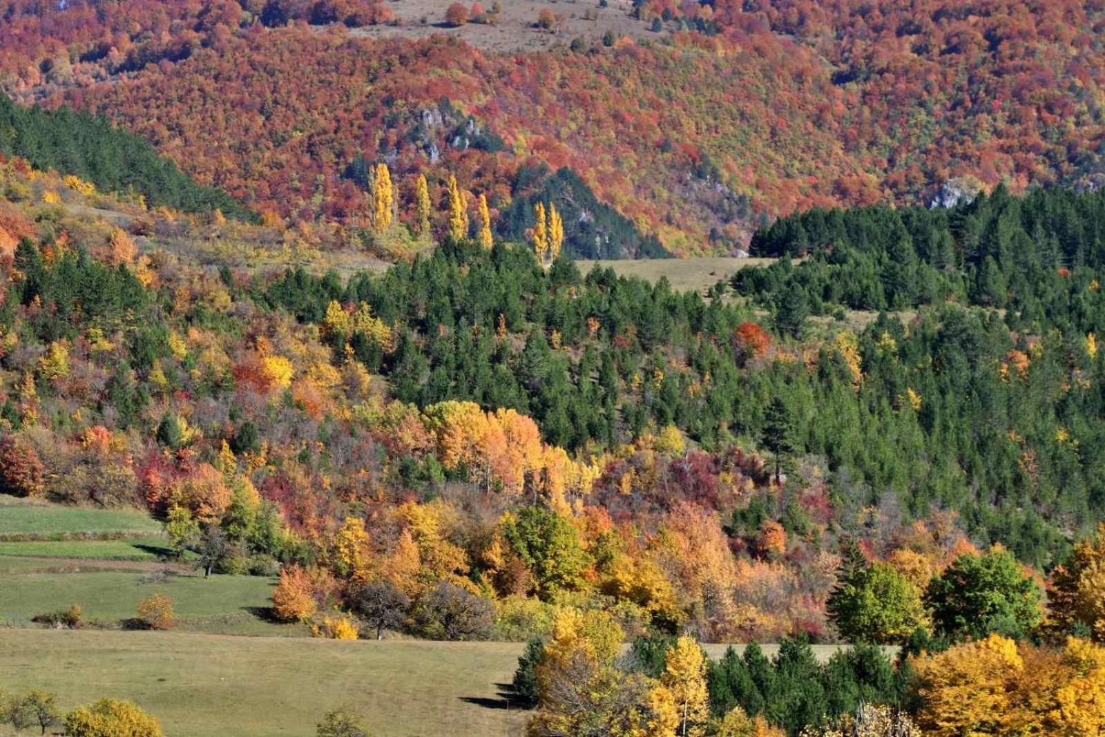 Domacinstvo na kraju svijeta