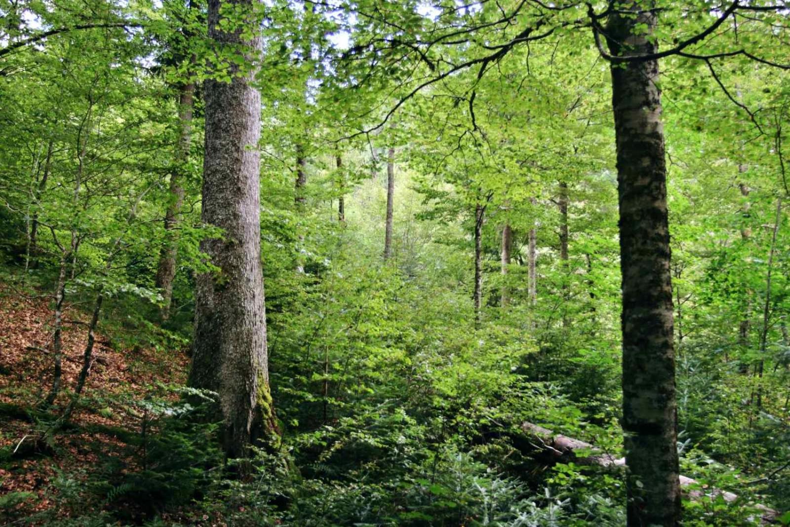 Domacinstvo na kraju svijeta