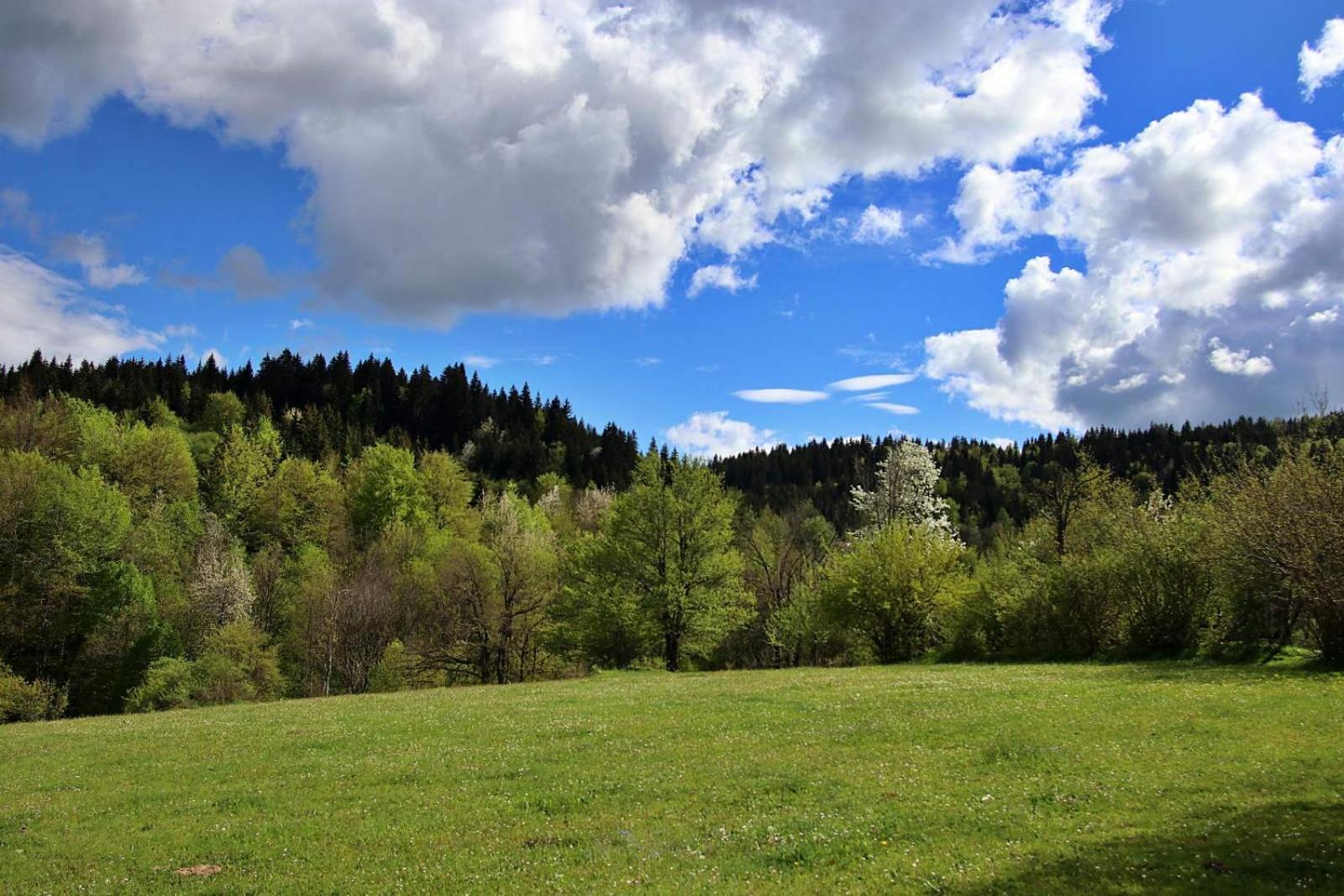 Domacinstvo na kraju svijeta