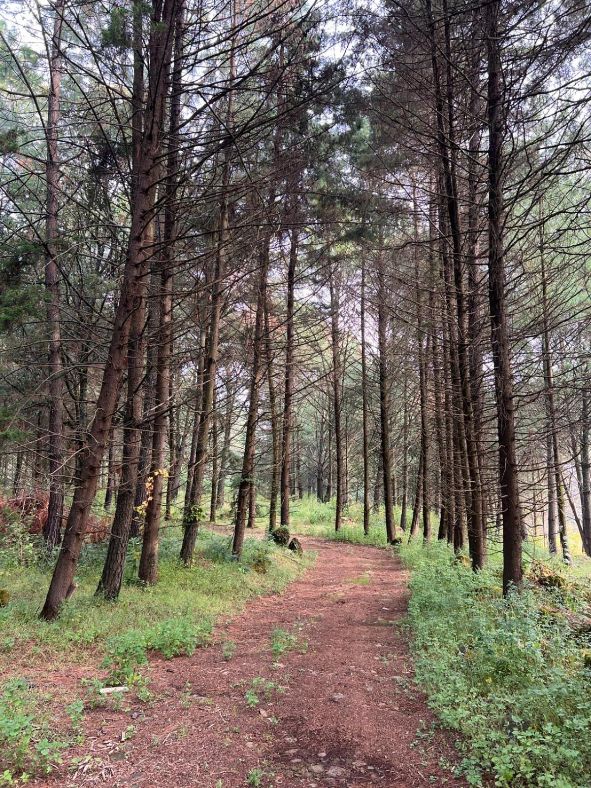 Villa del Lago - Property Image 12