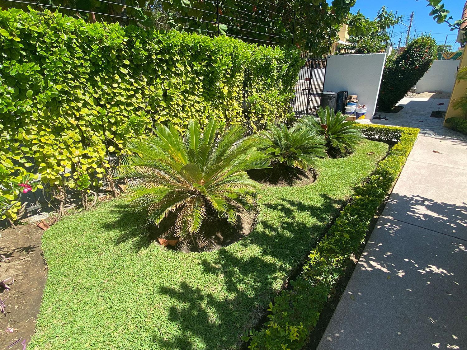Photo 21