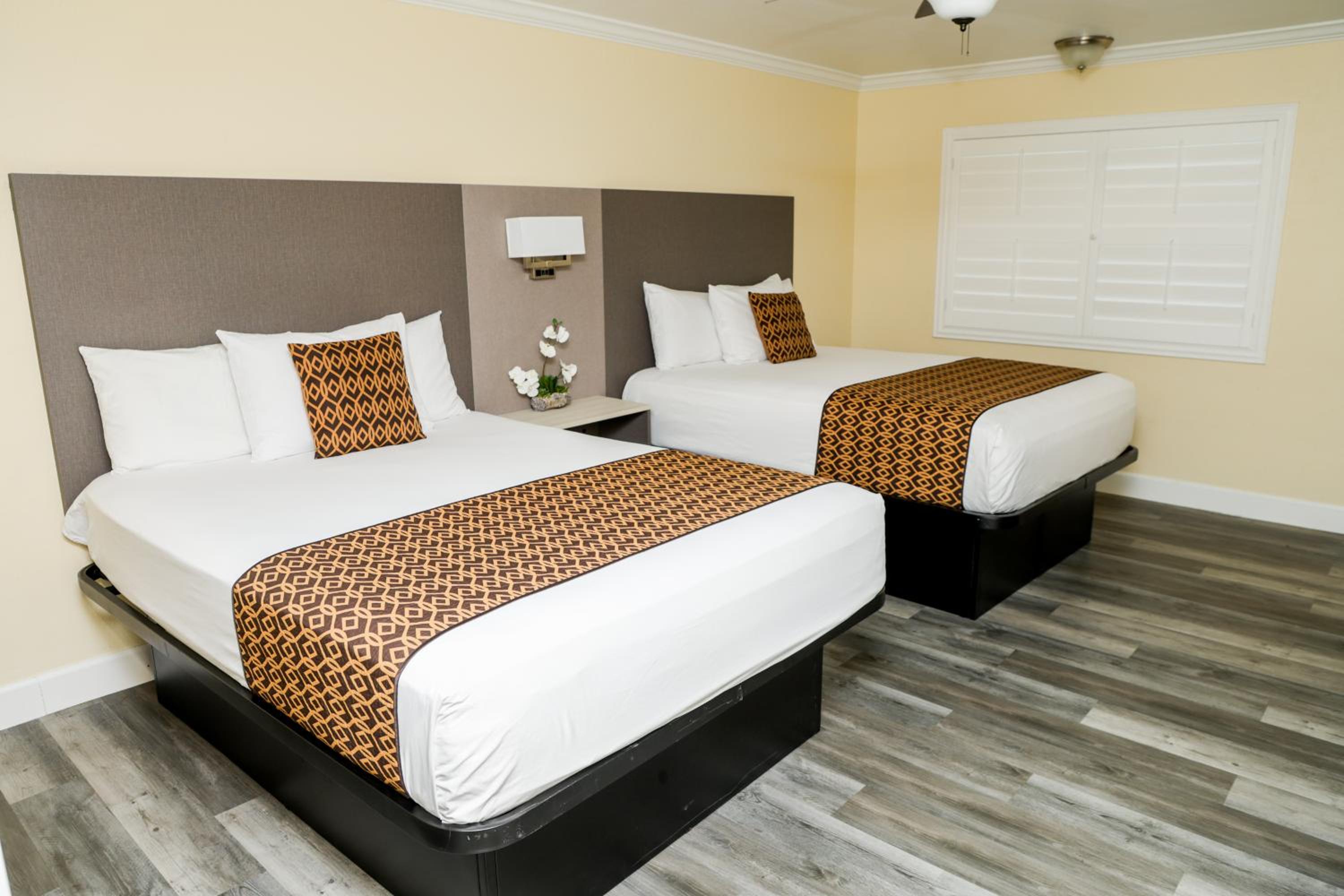 Photo 96