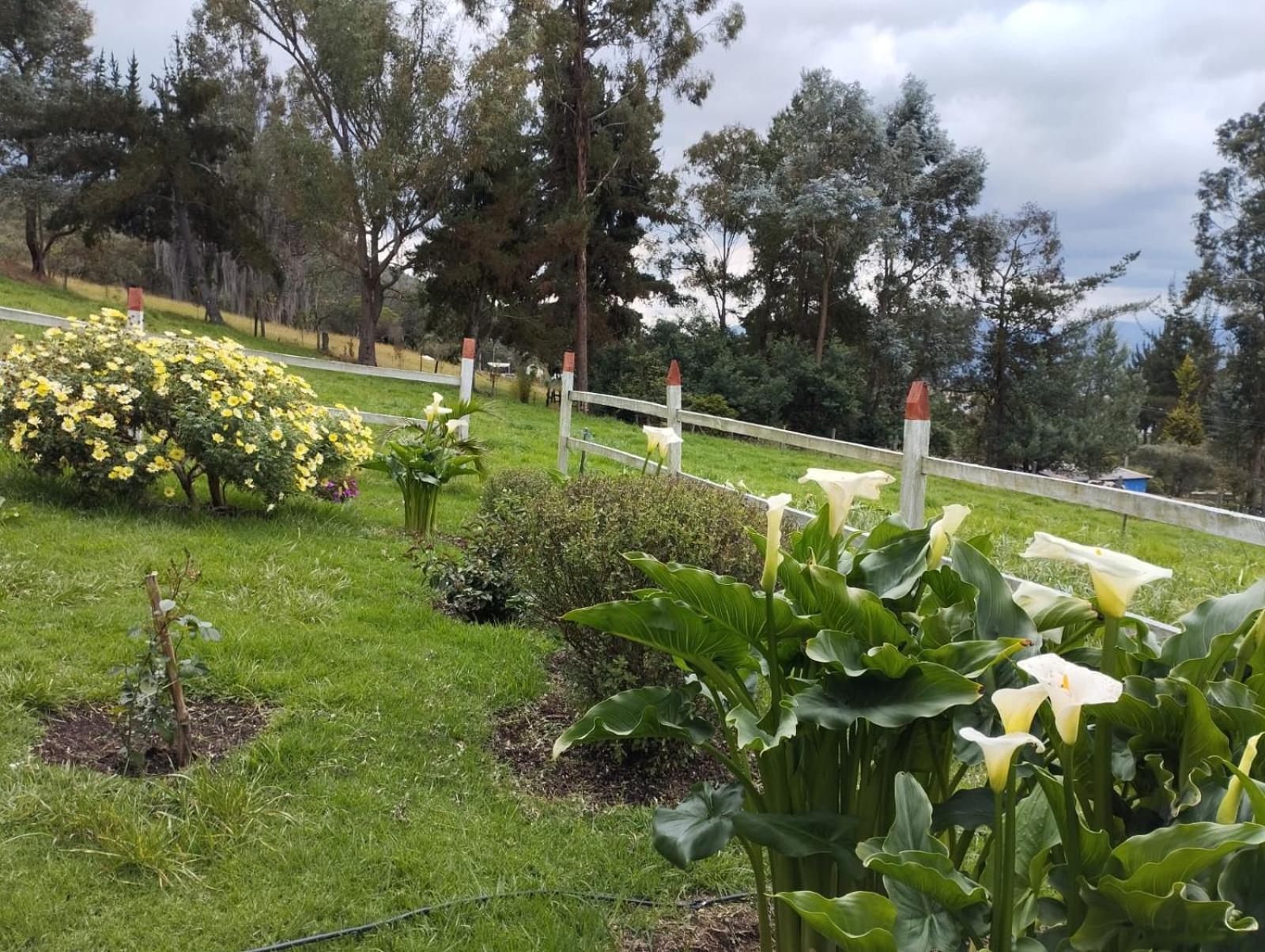 Cabaña La Granja tomine