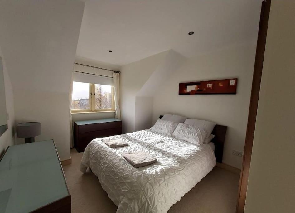 Beautiful Holiday Cottage near Kenmare view 5