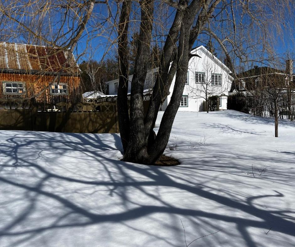 Auberge musicale Pour un Instant