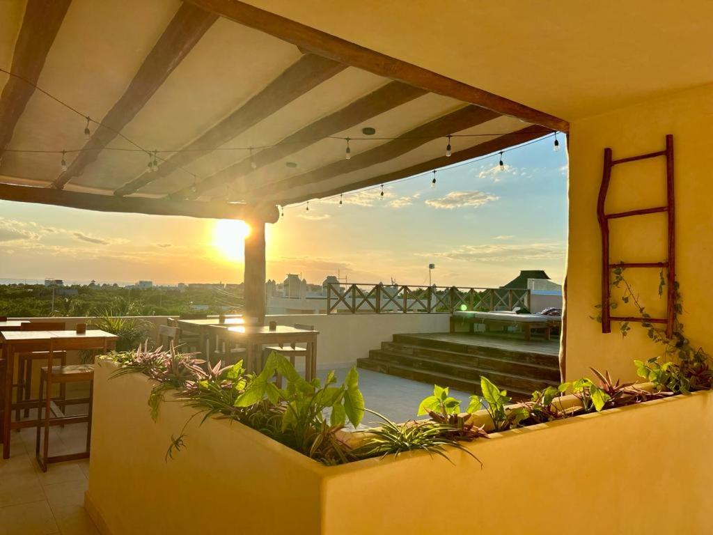 Sunsteps casa holbox