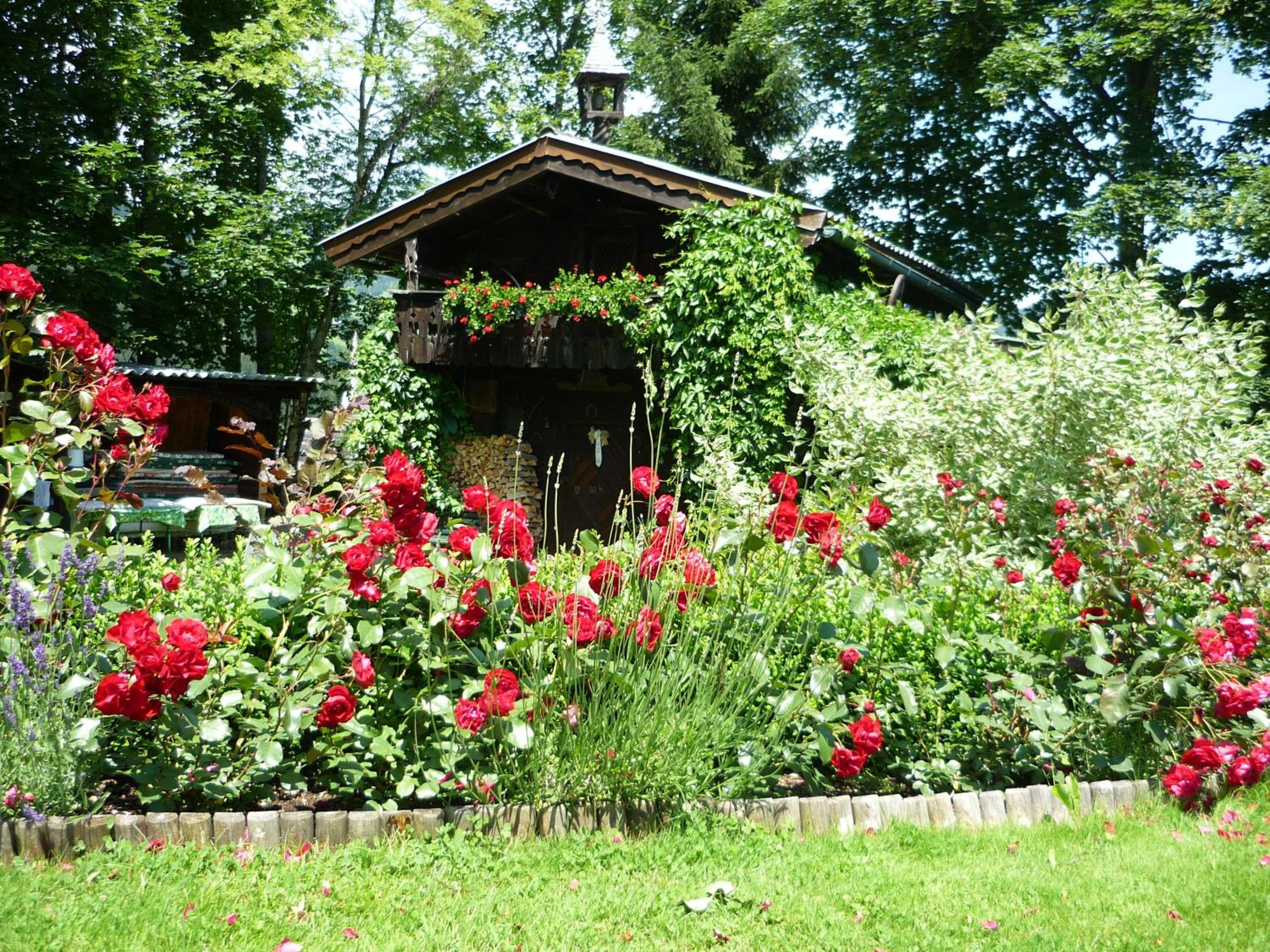 Photo 14