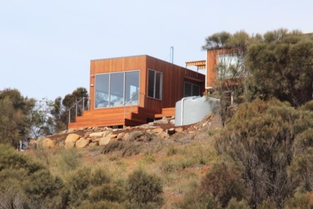 Three Little Birds at Freycinet