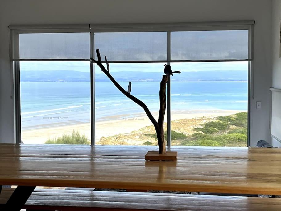 Three Little Birds at Freycinet