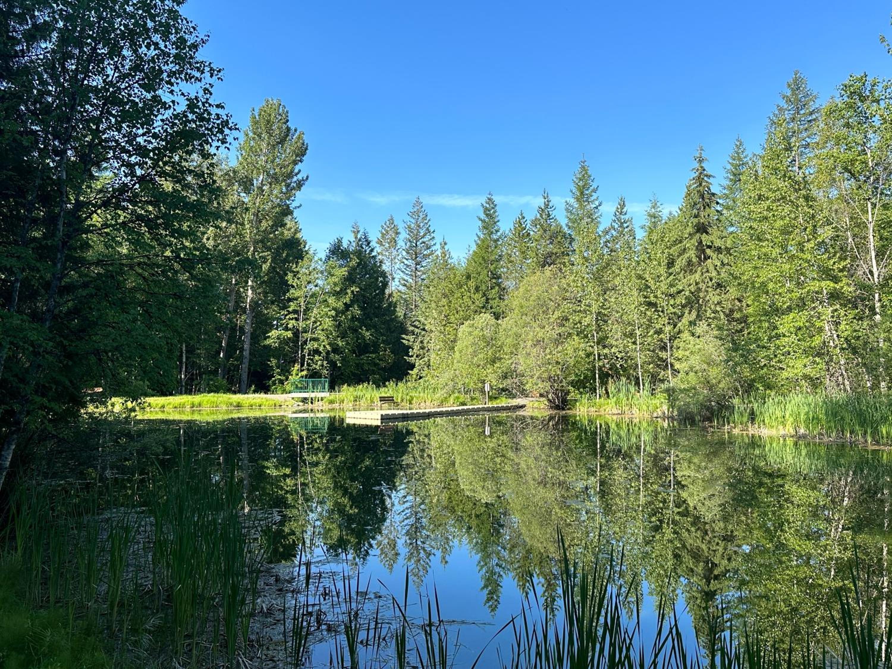 Pine Haven