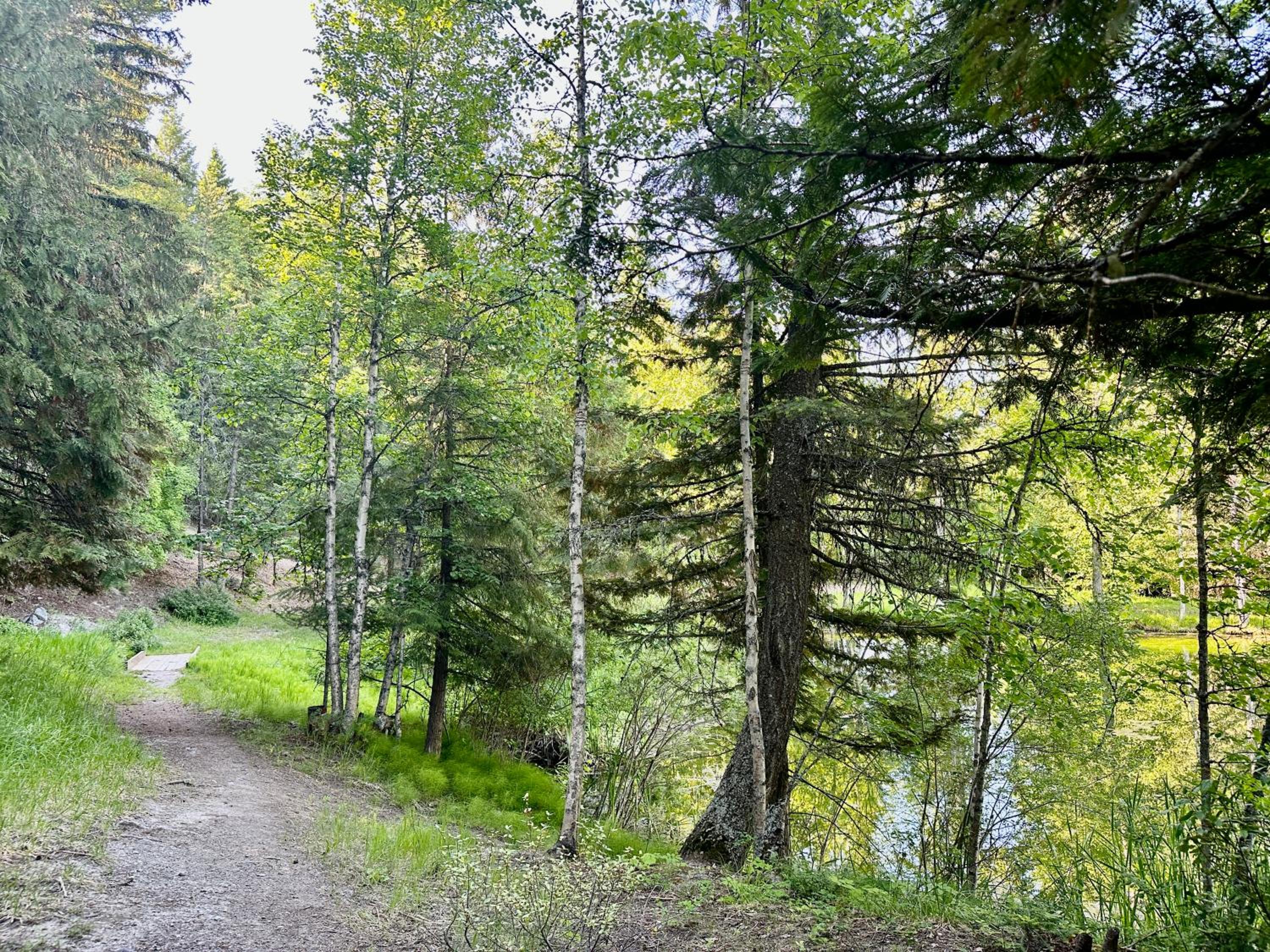 Pine Haven