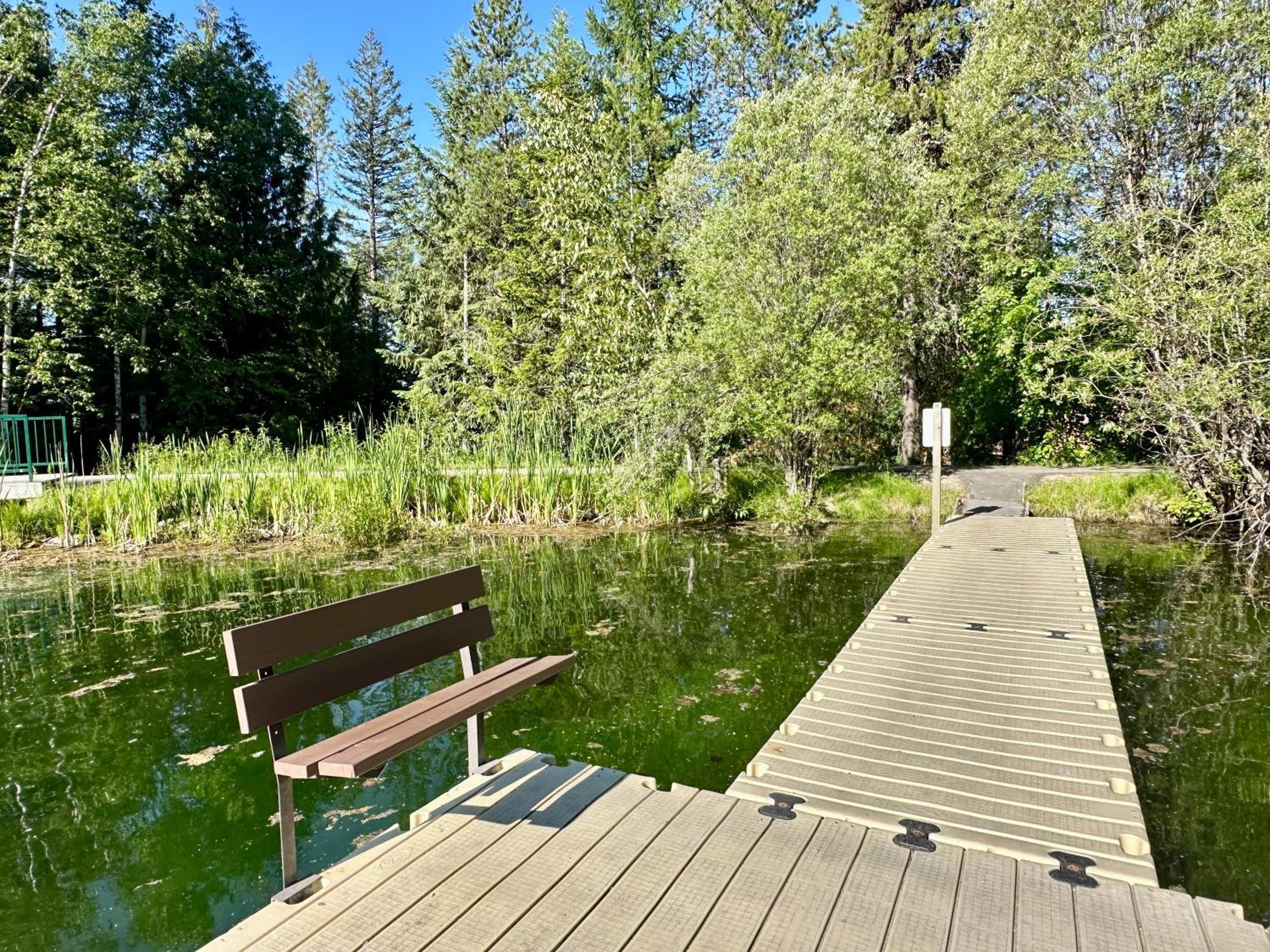 Pine Haven