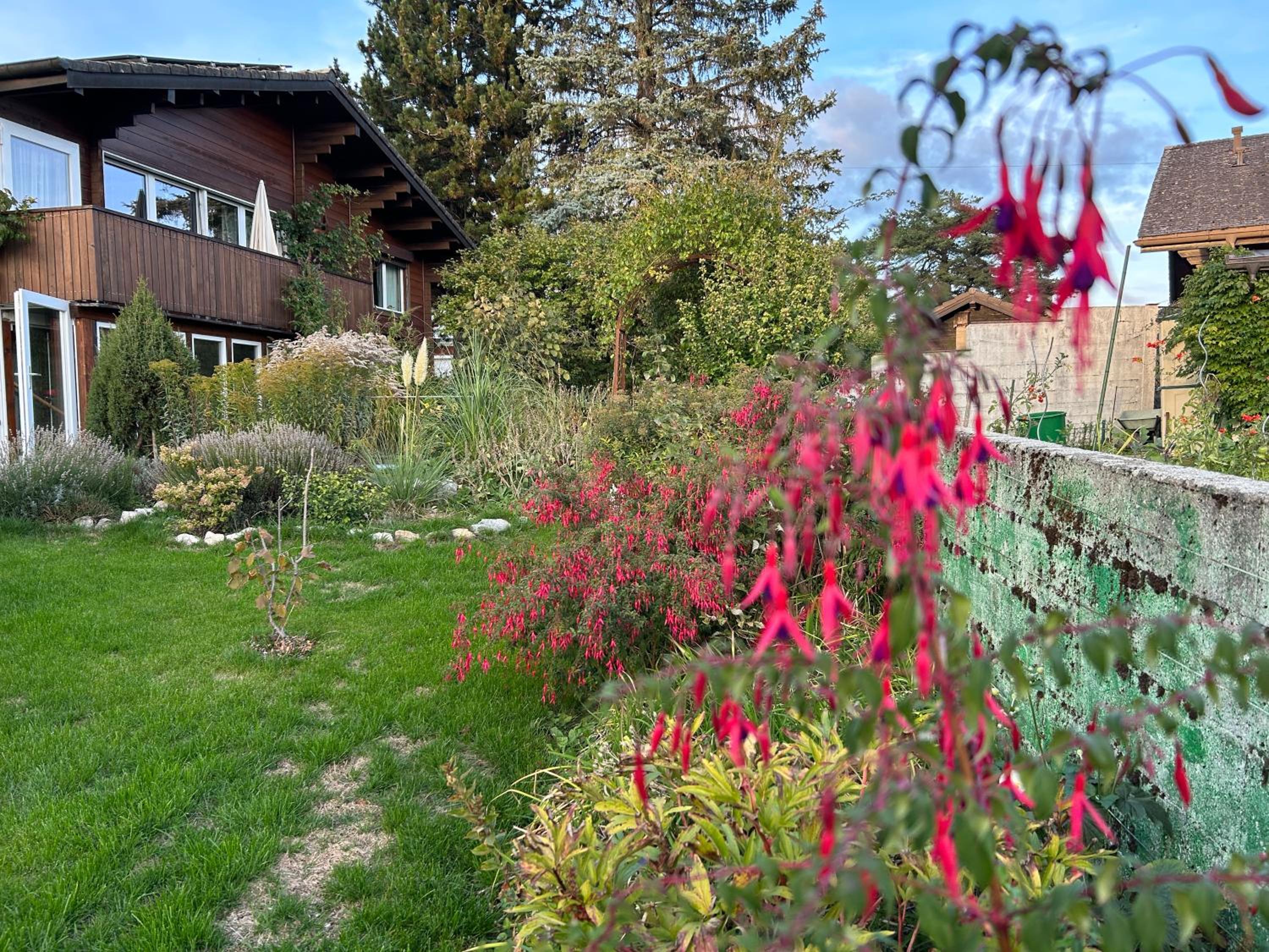 Studio dans chalet
