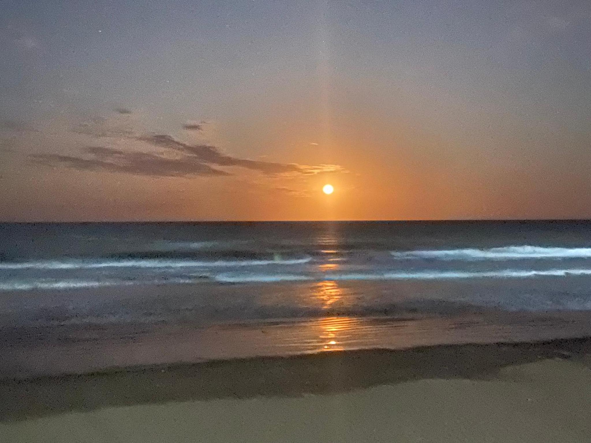 PB I Playa, confort y naturaleza todo el año