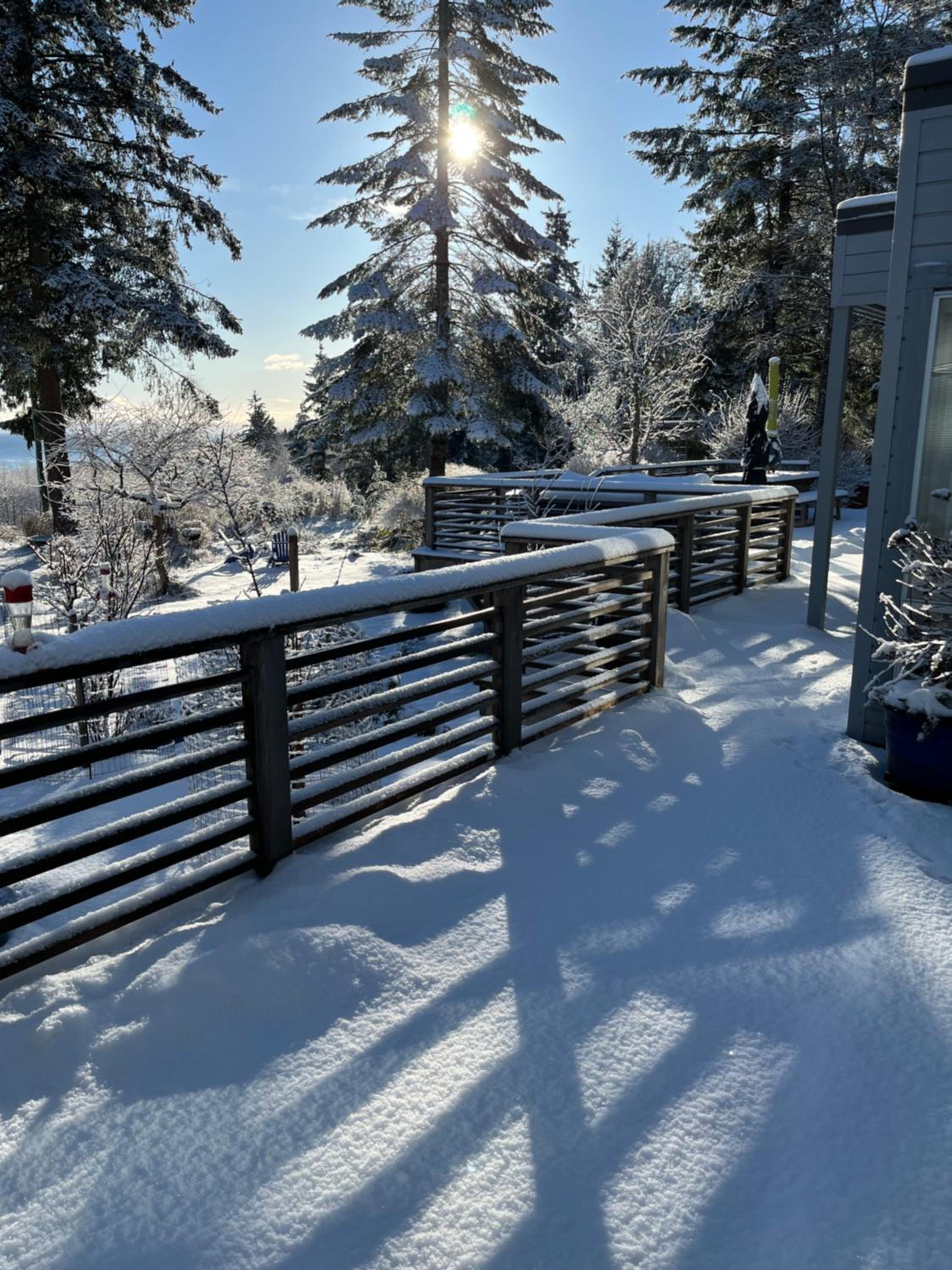 Forest by the Sea Rentals