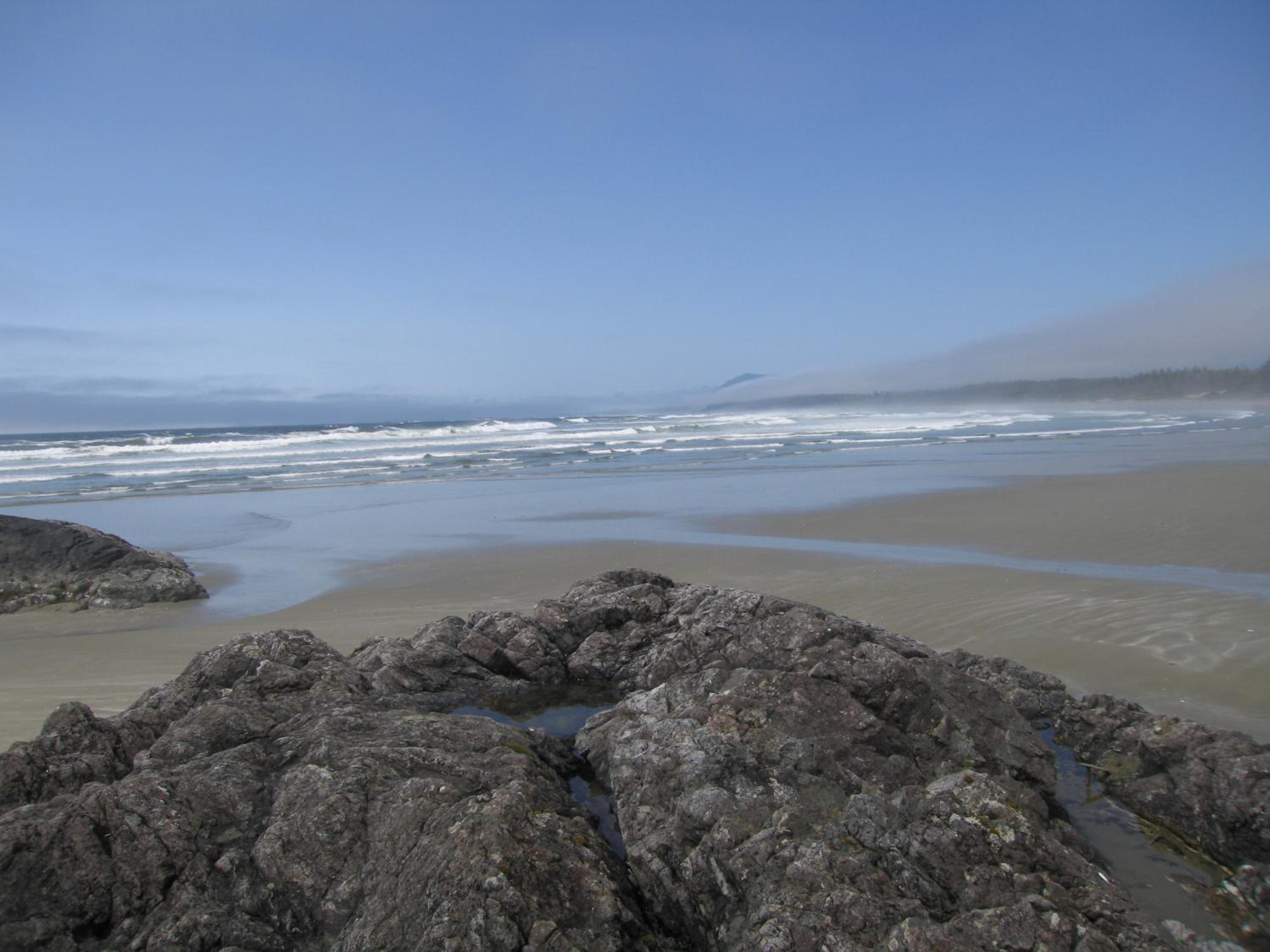Forest by the Sea Rentals